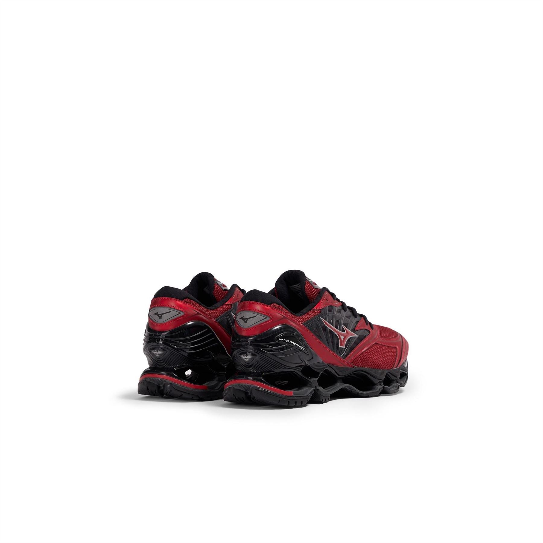 Mizuno Wave Prophecy