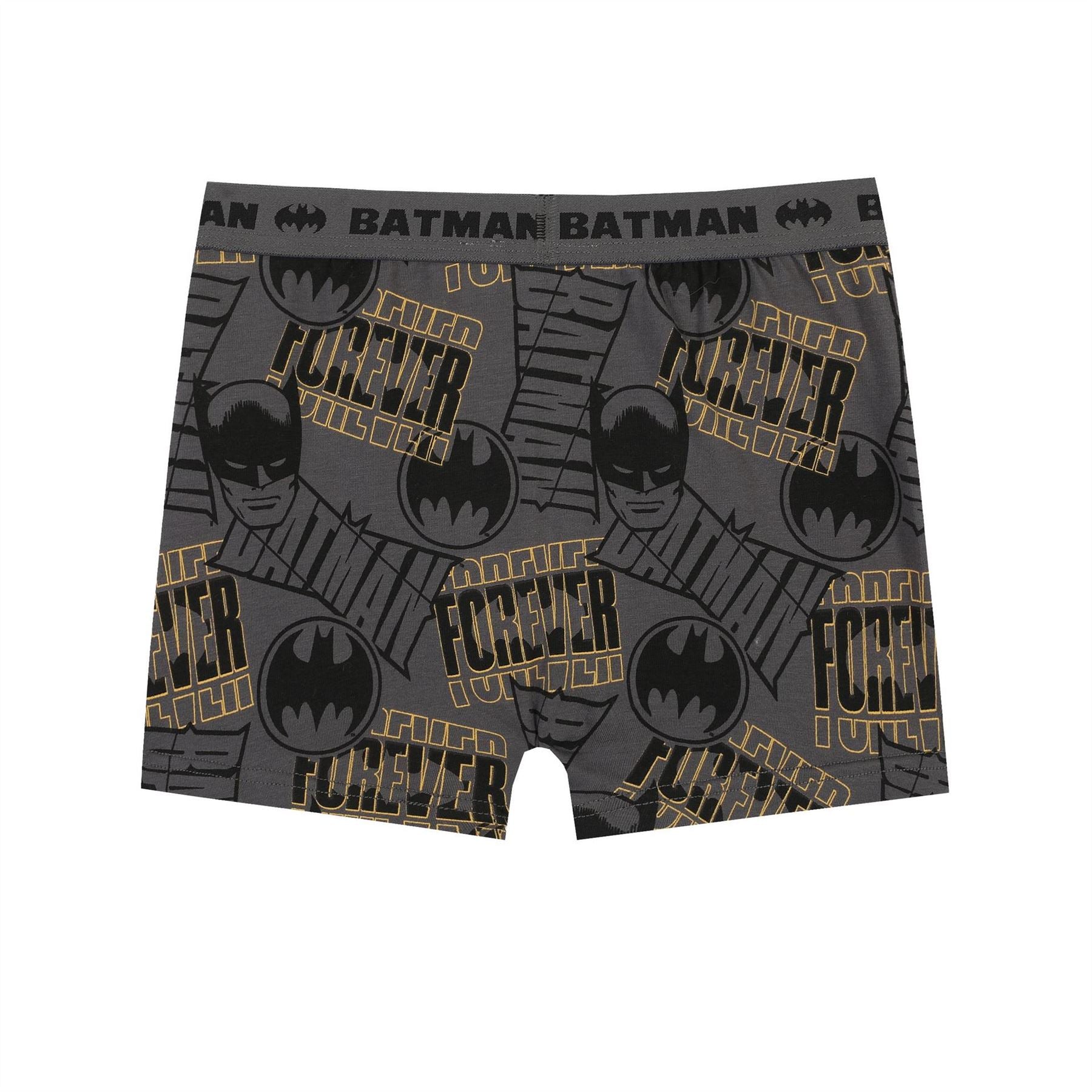 Character Boxer Briefs For Boys
