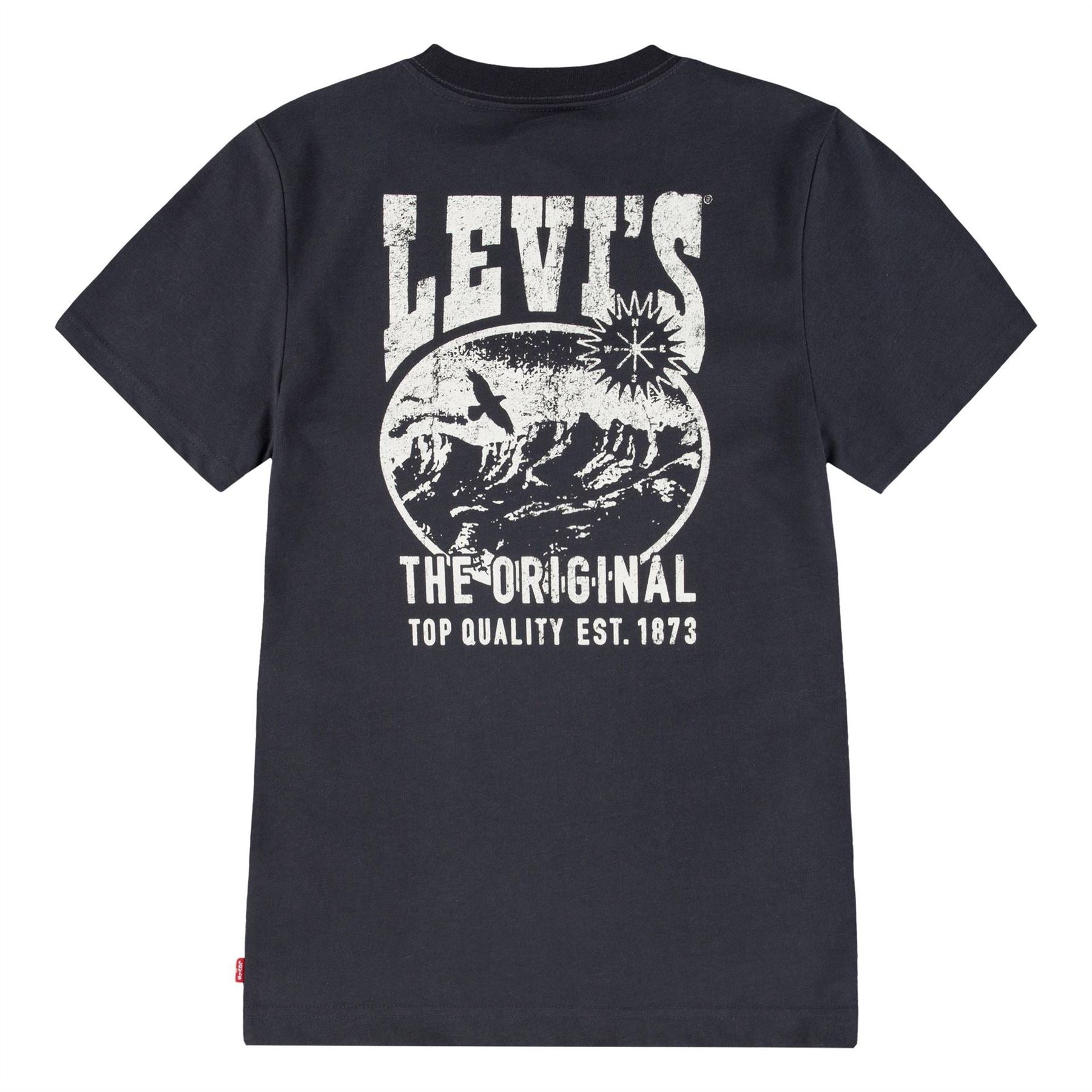 Levis Junior Regular Fit Crew Neck T-Shirt