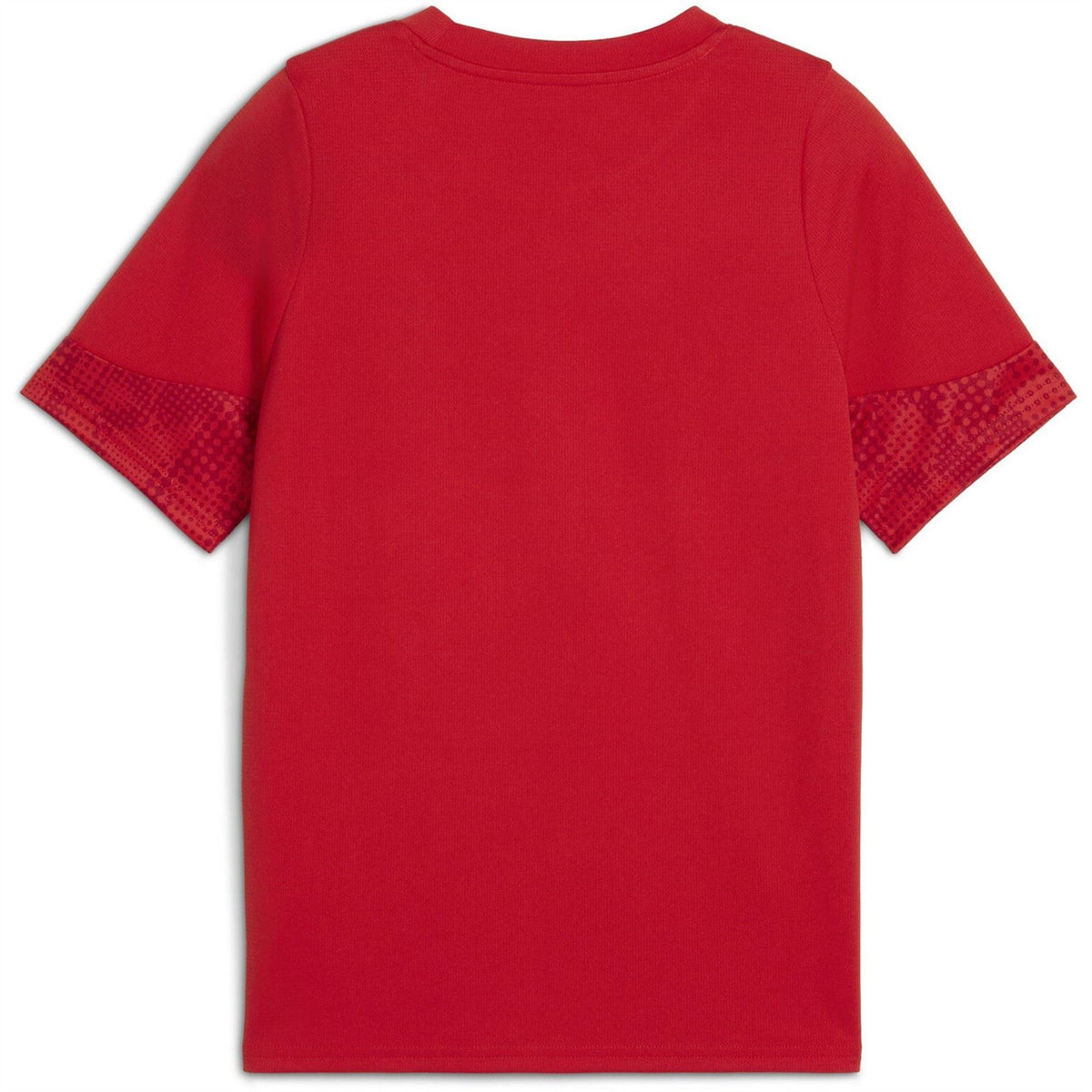 Puma Football Jersey Short Sleeve Performance T-Shirt