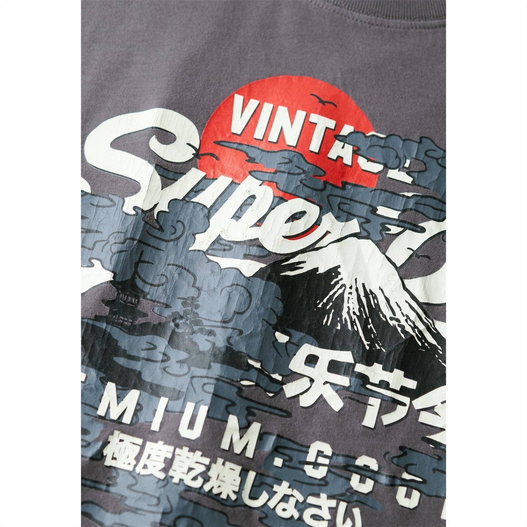 Superdry Tokyo Graphic Regular Fit T-Shirt
