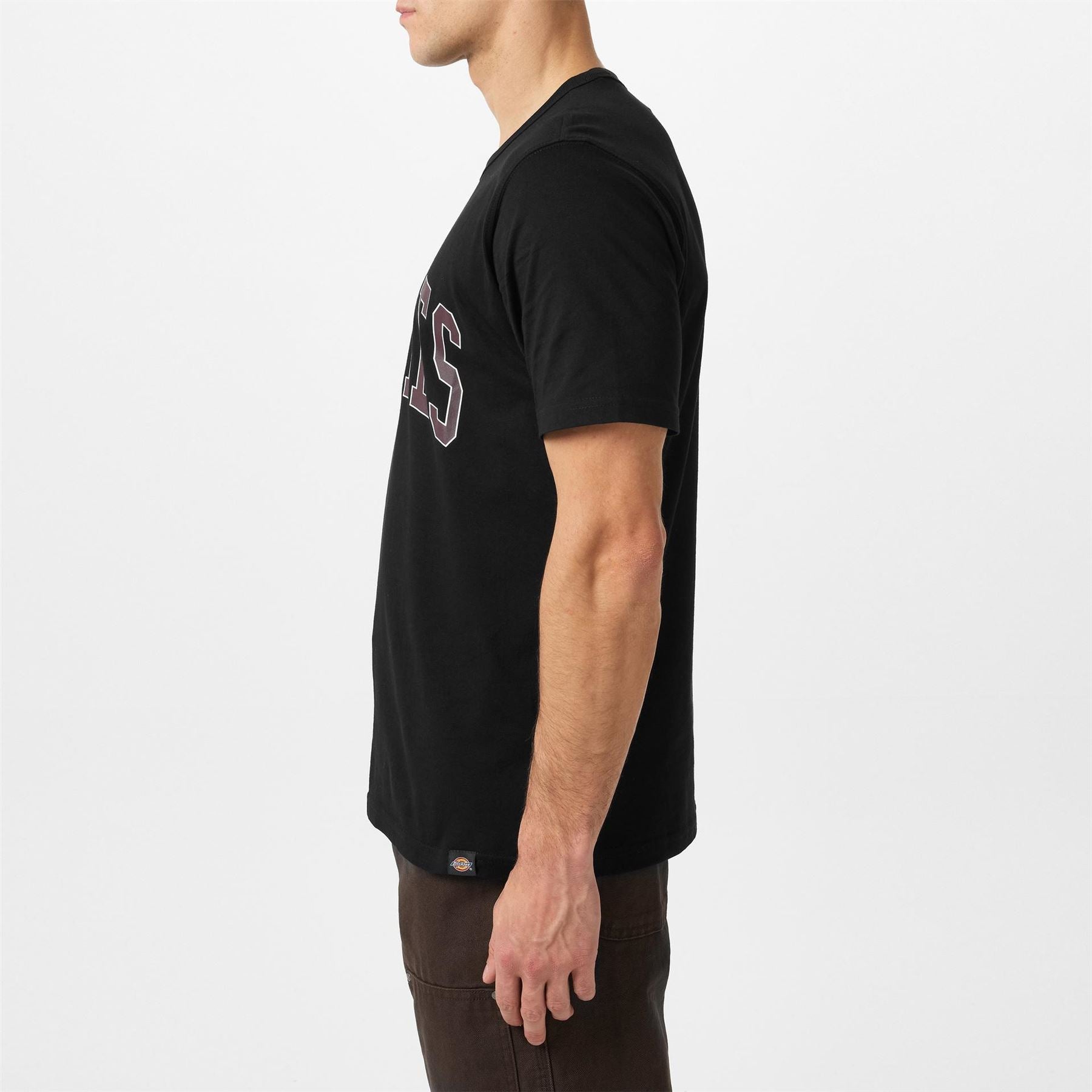 Dickies Aitkin Tee