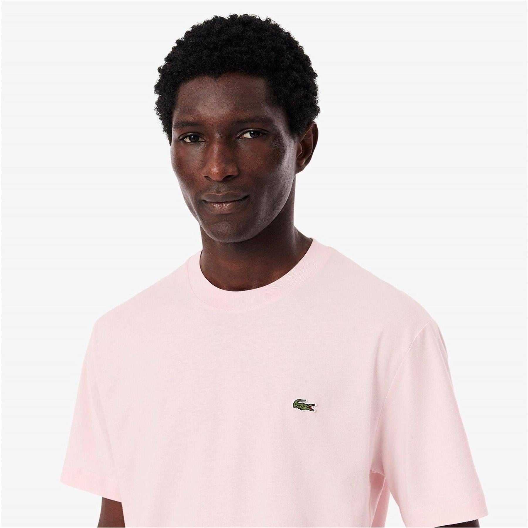 Lacoste Regular Fit Small Logo T-Shirt