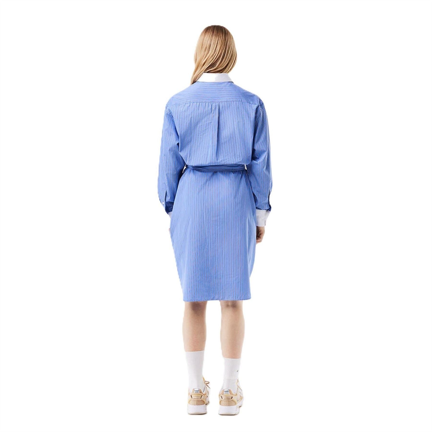 Lacoste Strip Poplin Collared Neck Knee Length Dress