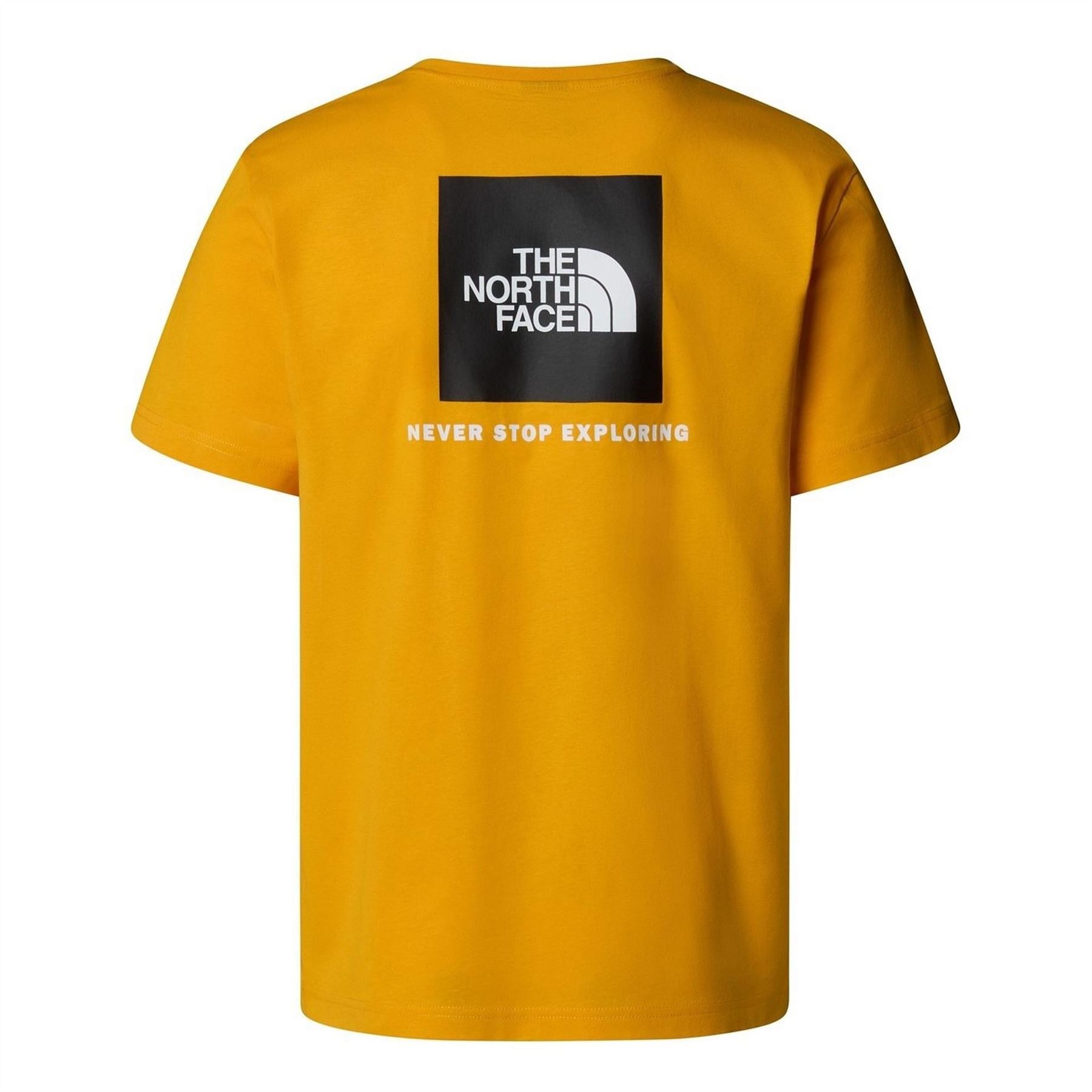 The North Face Mens Never Stop Exploring Regular Fit T-Shirt