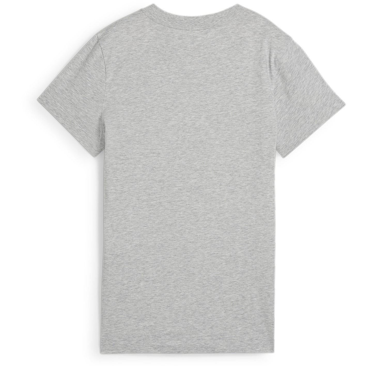 Puma Squad Graphic Regular Fit T-Shirt