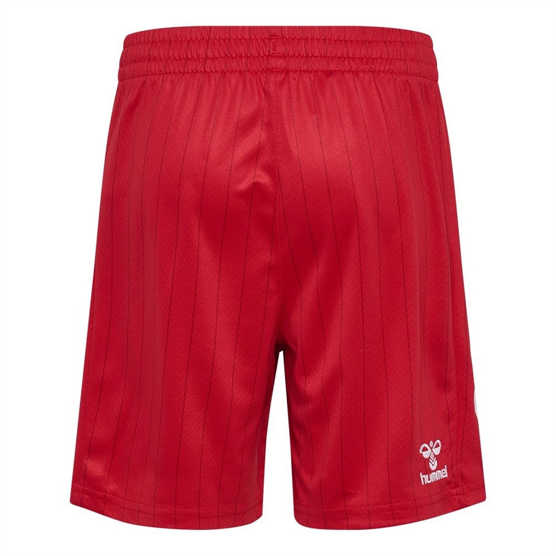 Hummel Denmark International Football Shorts