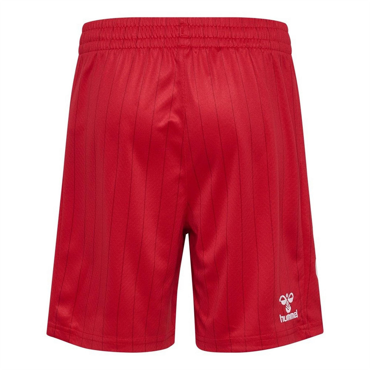 Hummel Denmark International Football Shorts