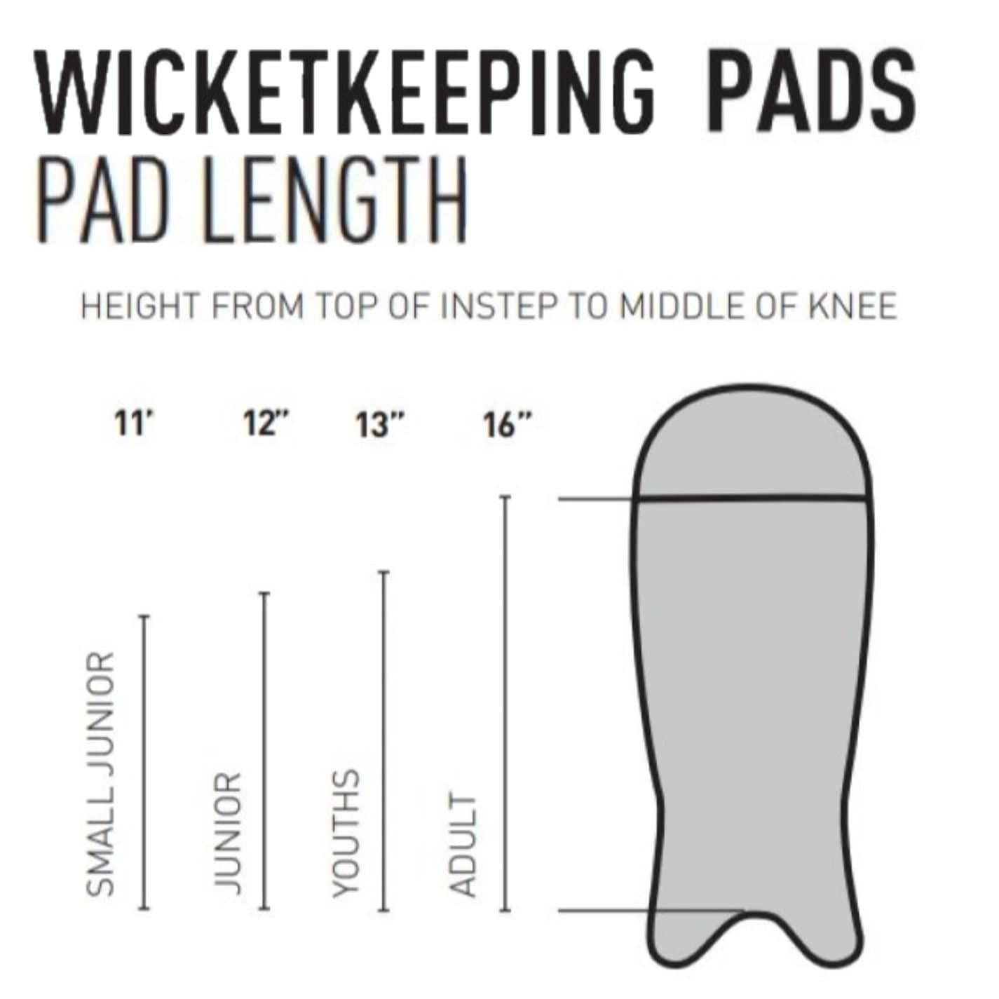 Gunn And Moore  And  Moore Aion 300 Wk Pads Youths