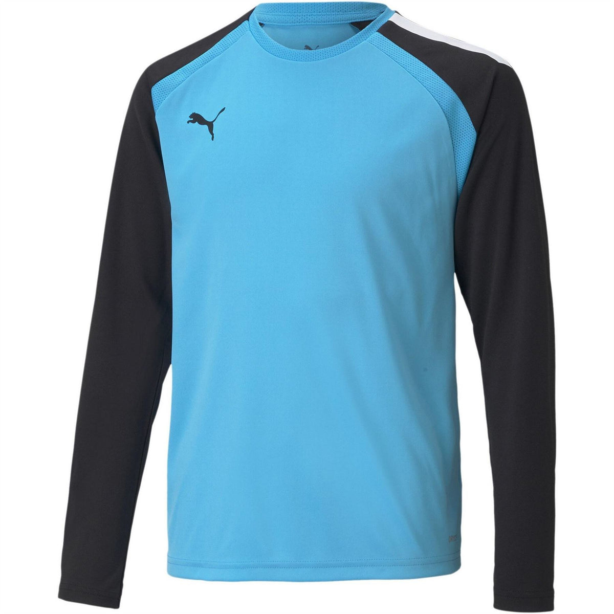 Puma Teampacer Gk Ls Jersey Jr Goalkeeper Top Unisex Kids