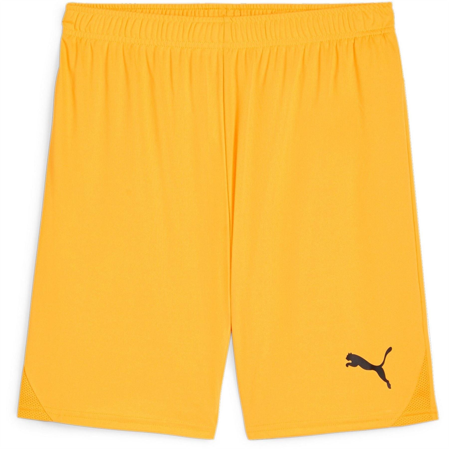 Puma Mens Teamgoal Shorts Football Shorts
