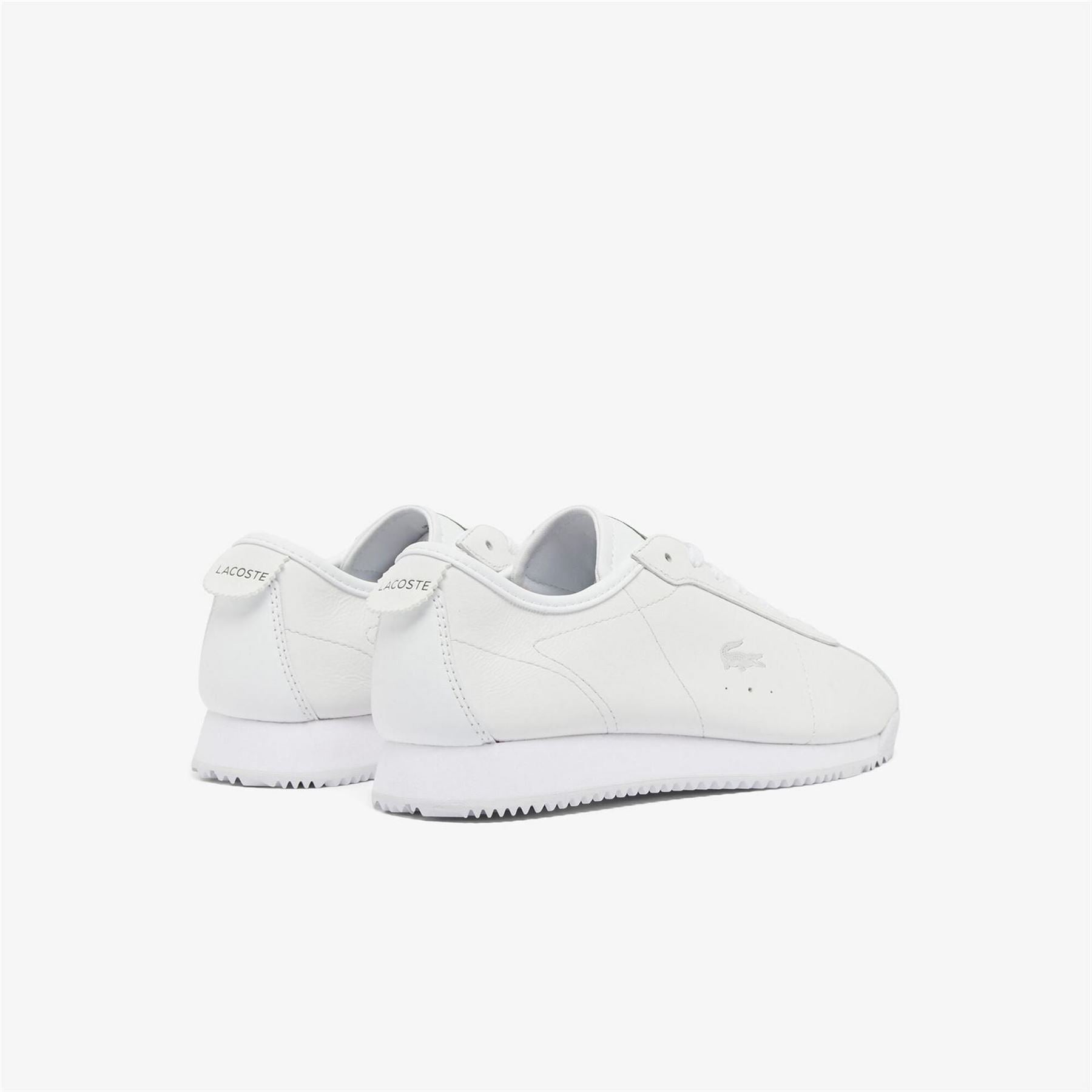 Lacoste Low Trainers