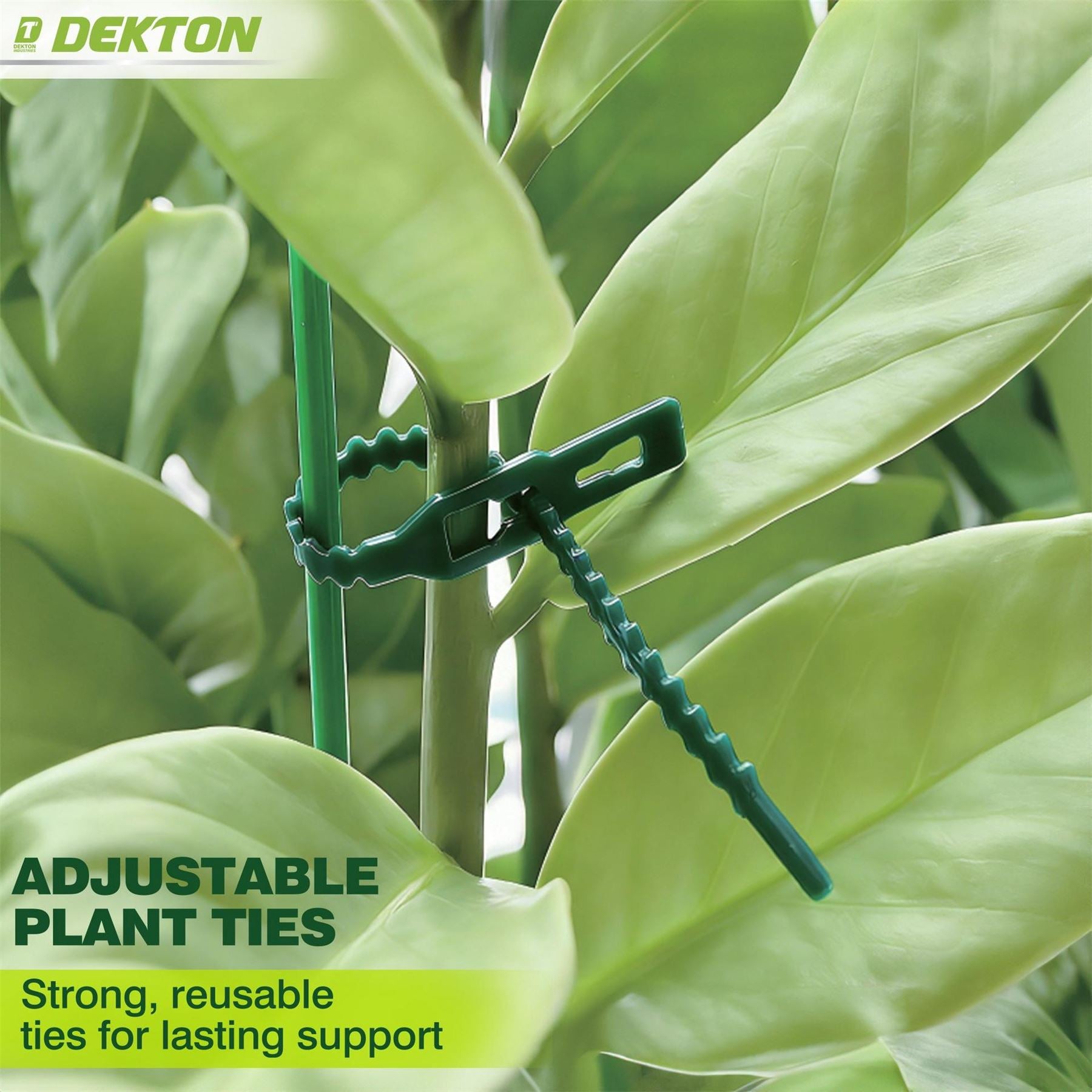 Dekton 53pc Assorted Planting Kit