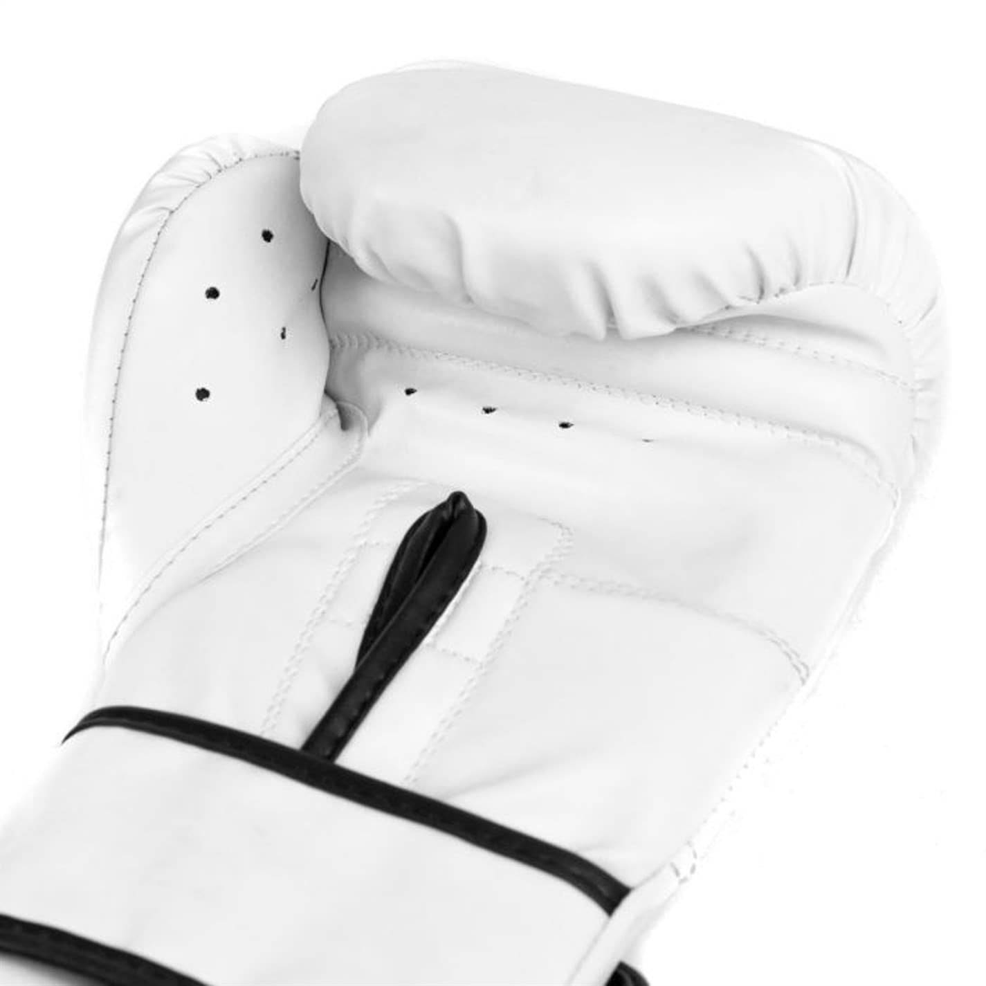 Everlast Core2 Boxing Glove