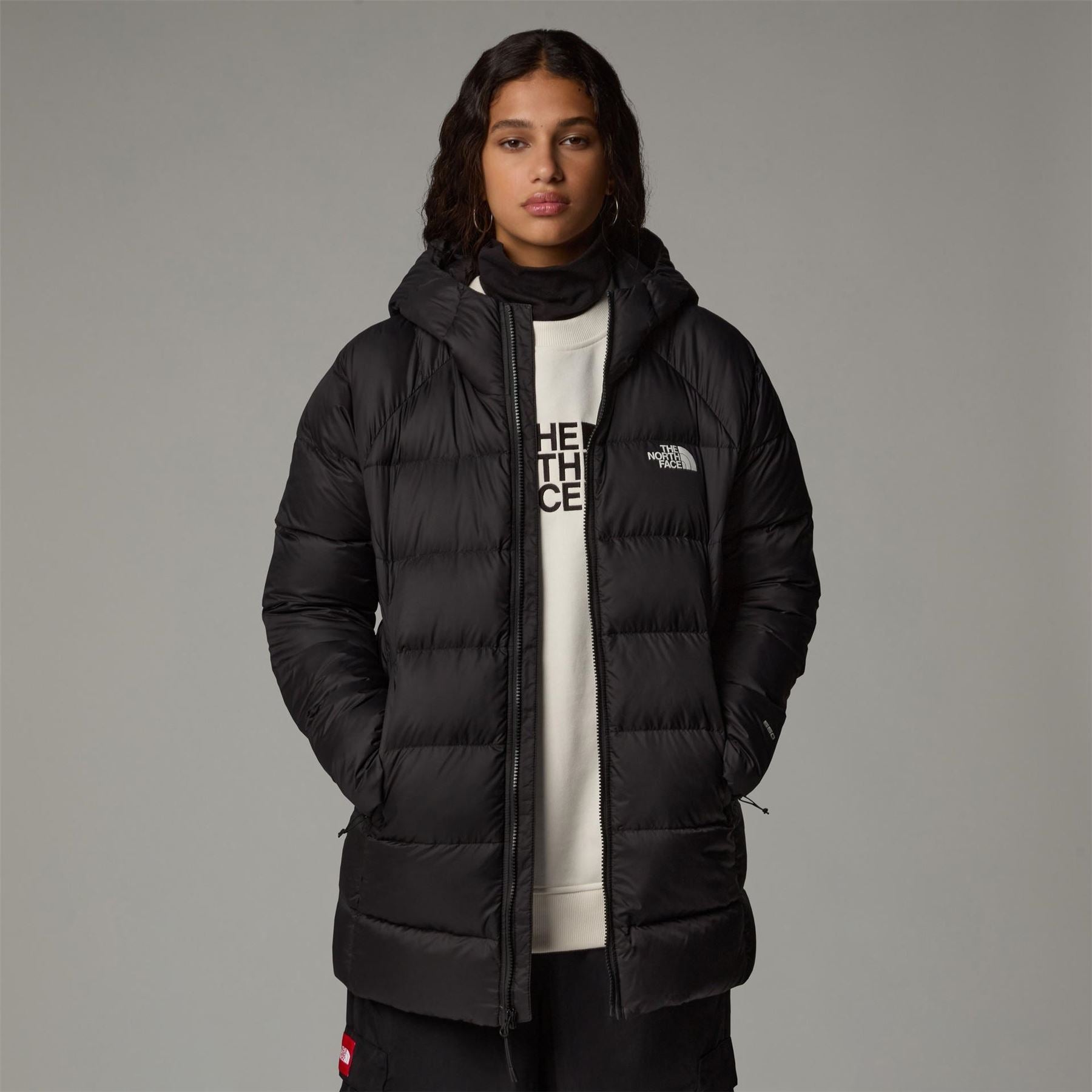 The North Face Hyalite Down Hooded Parka