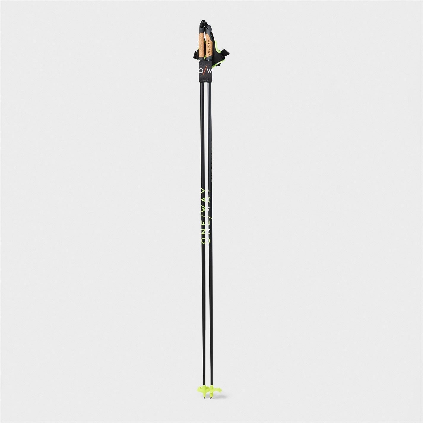 Fischer Storm 6 Cc Pole