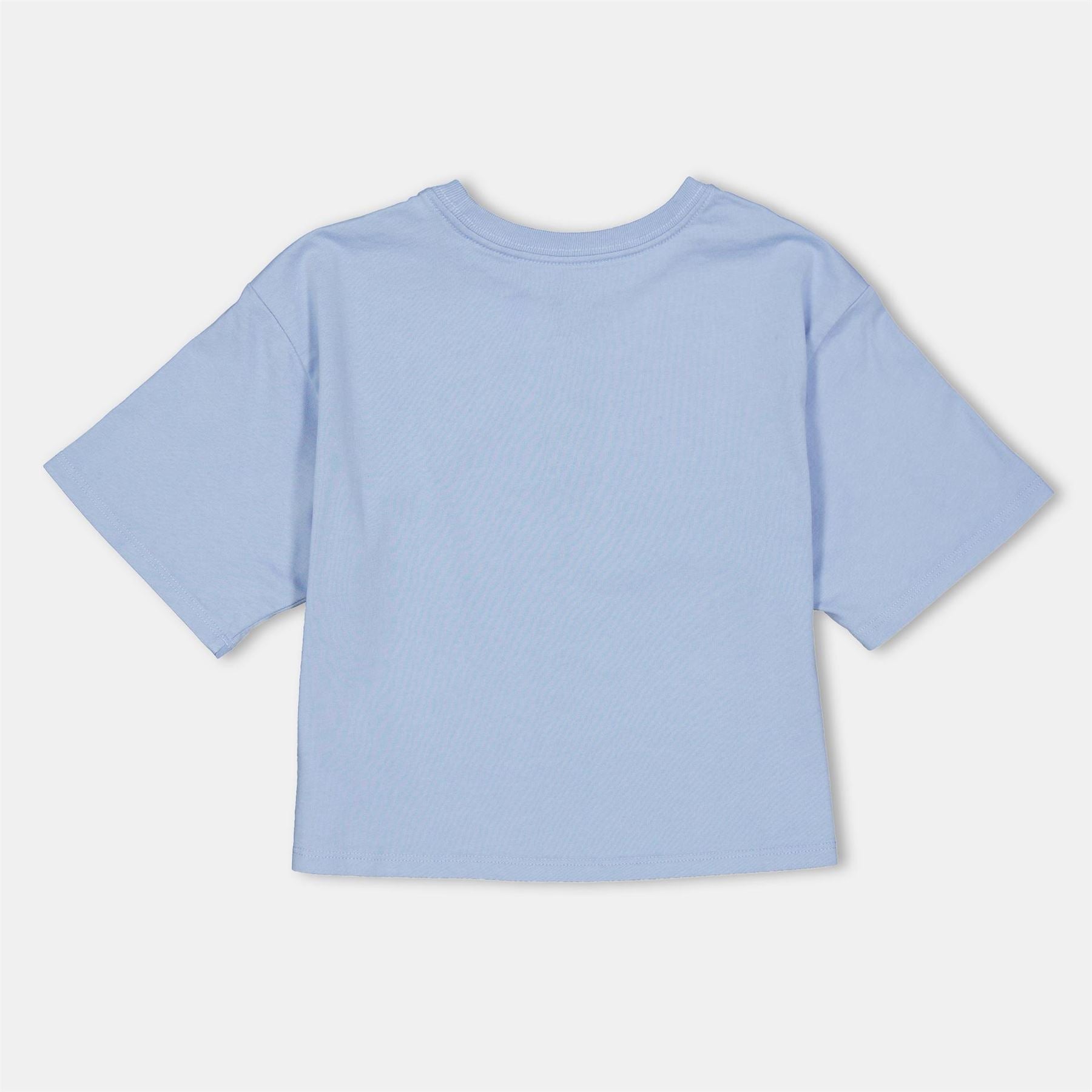 Polo Ralph Lauren Logo Print Cropped Regular Fit T-Shirt