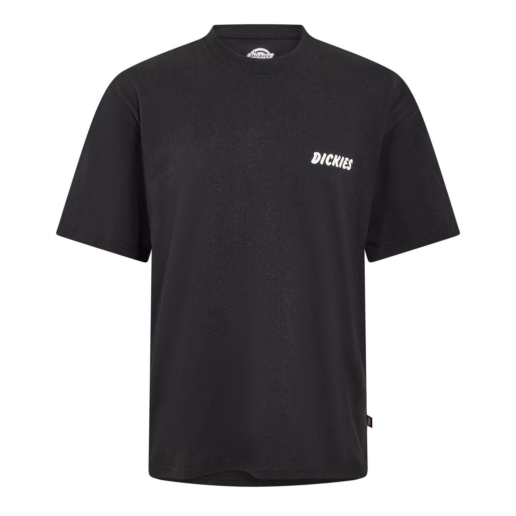 Dickies Day Ridge T Sn63