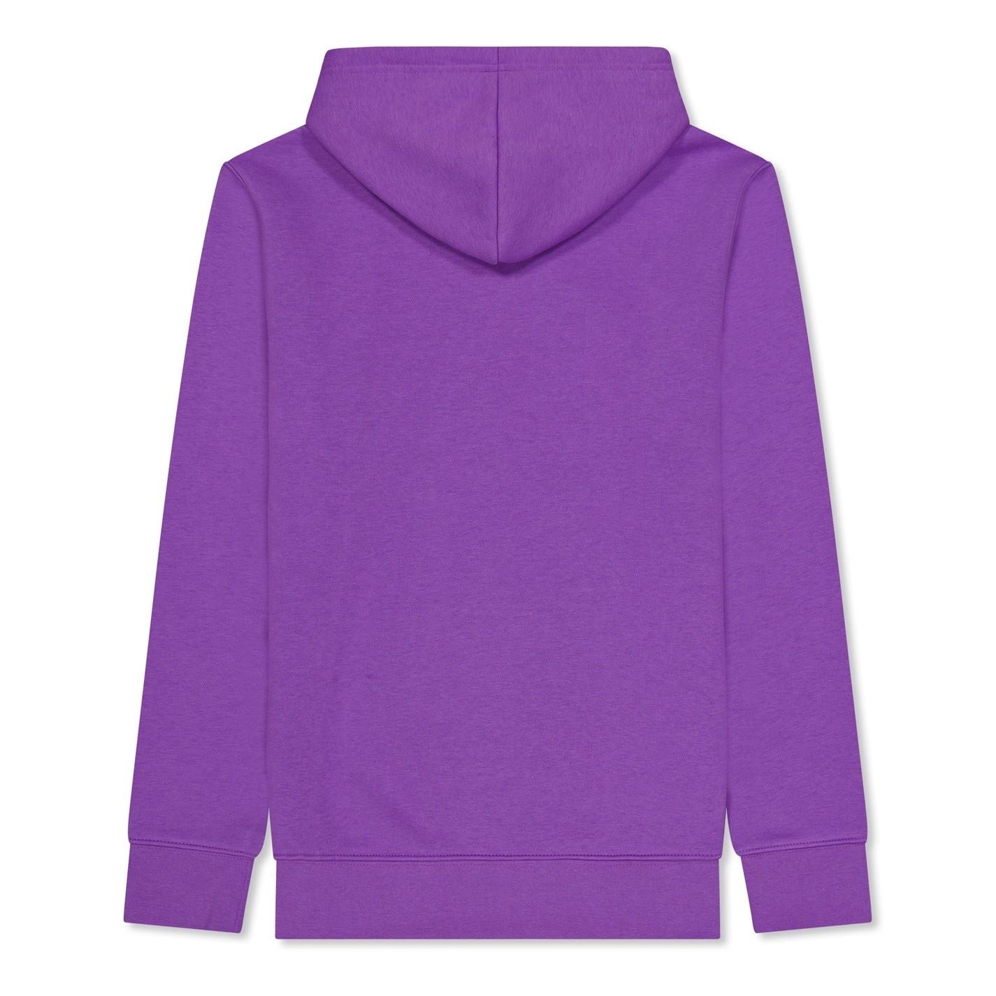 Air Jordan Fleece Hoodie Junior Boys