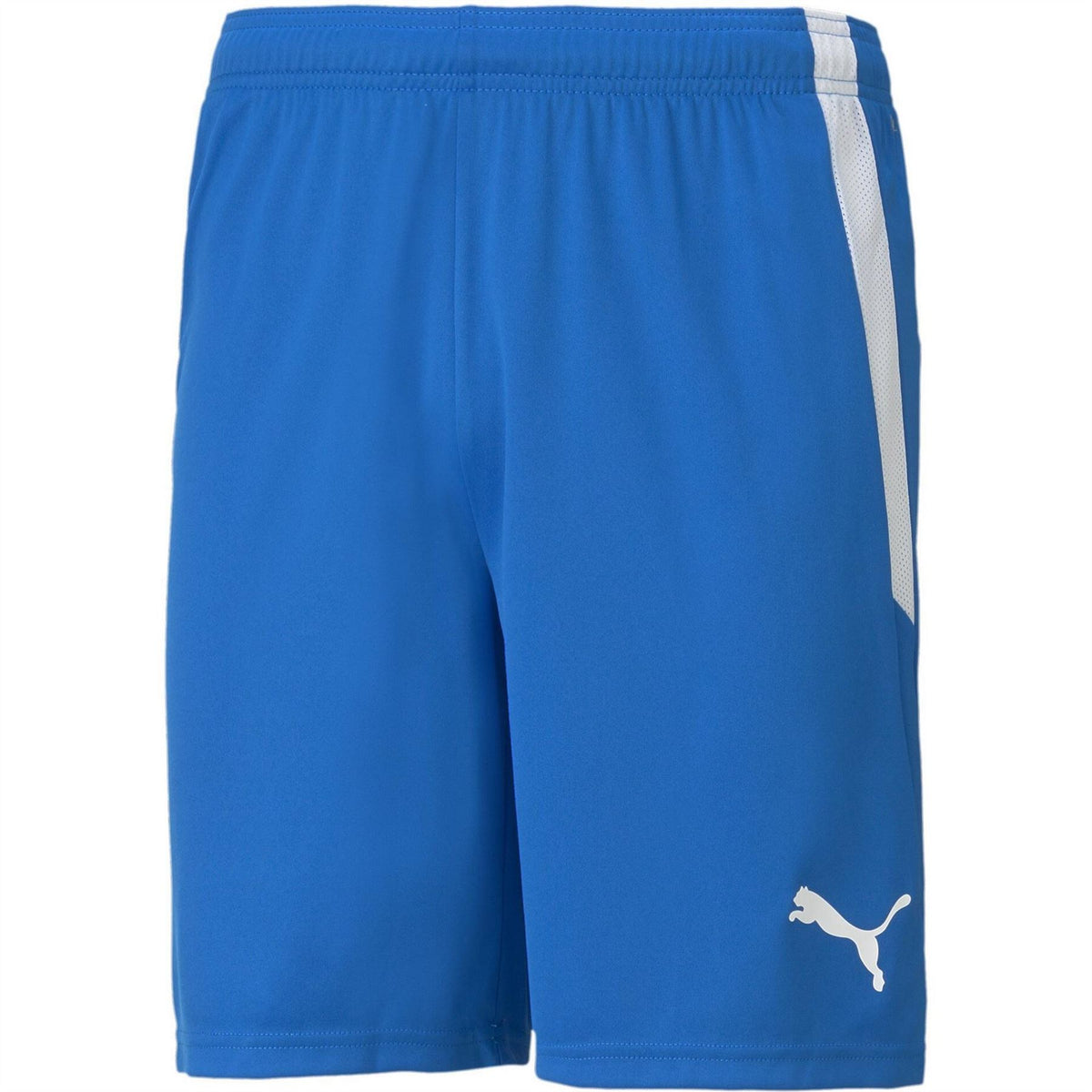 Puma Mens Teamliga Shorts Football Shorts
