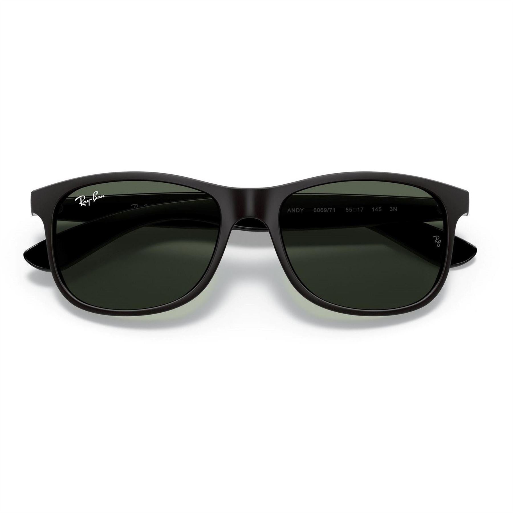 Ray-Ban Ban Matte Black Square Sunglasses