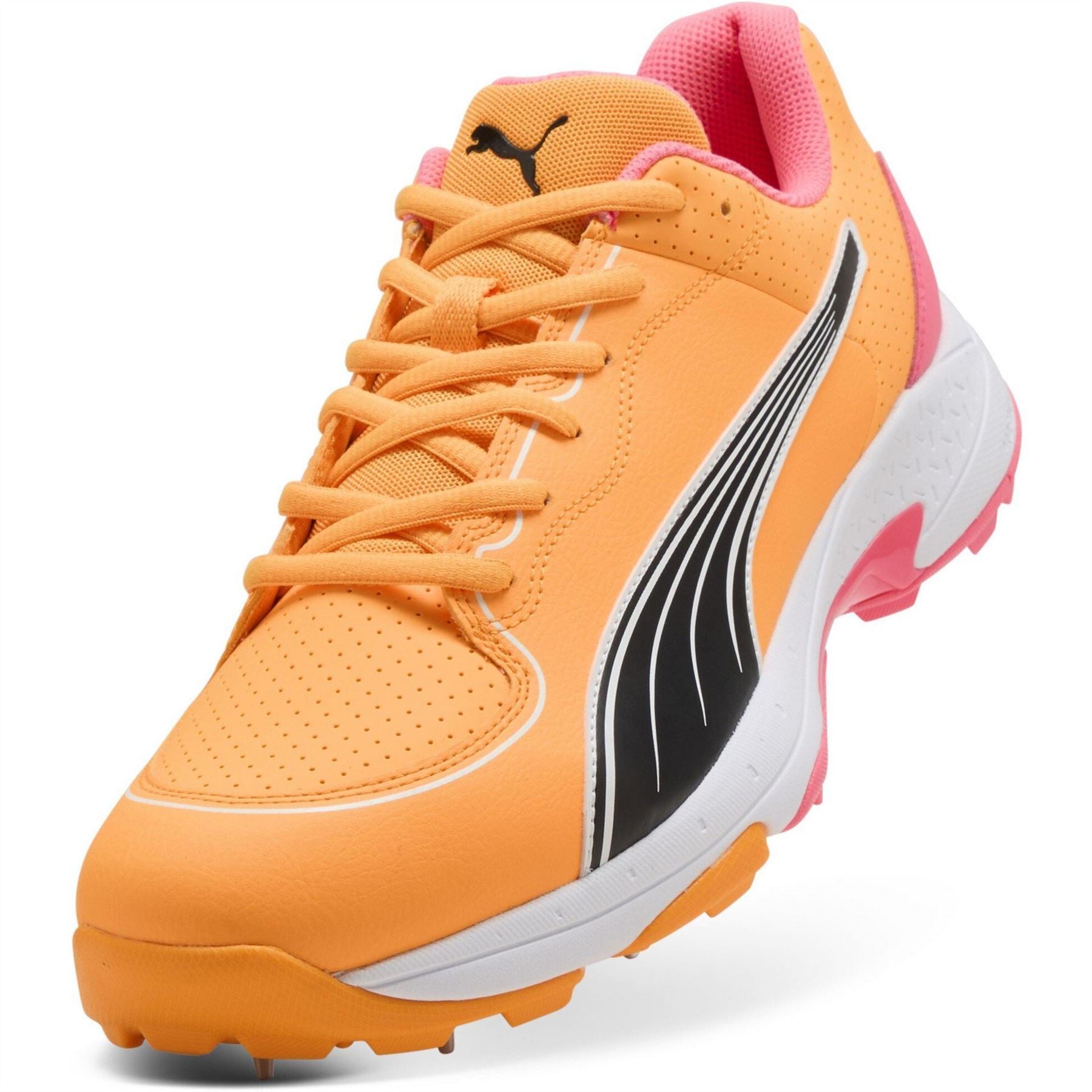 Puma Mens Spike 24.2 Cricket Spikes