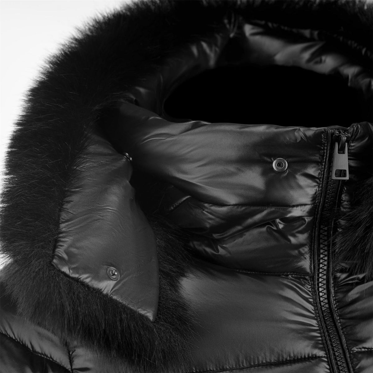Cape Heights Boston Jacket Ld64