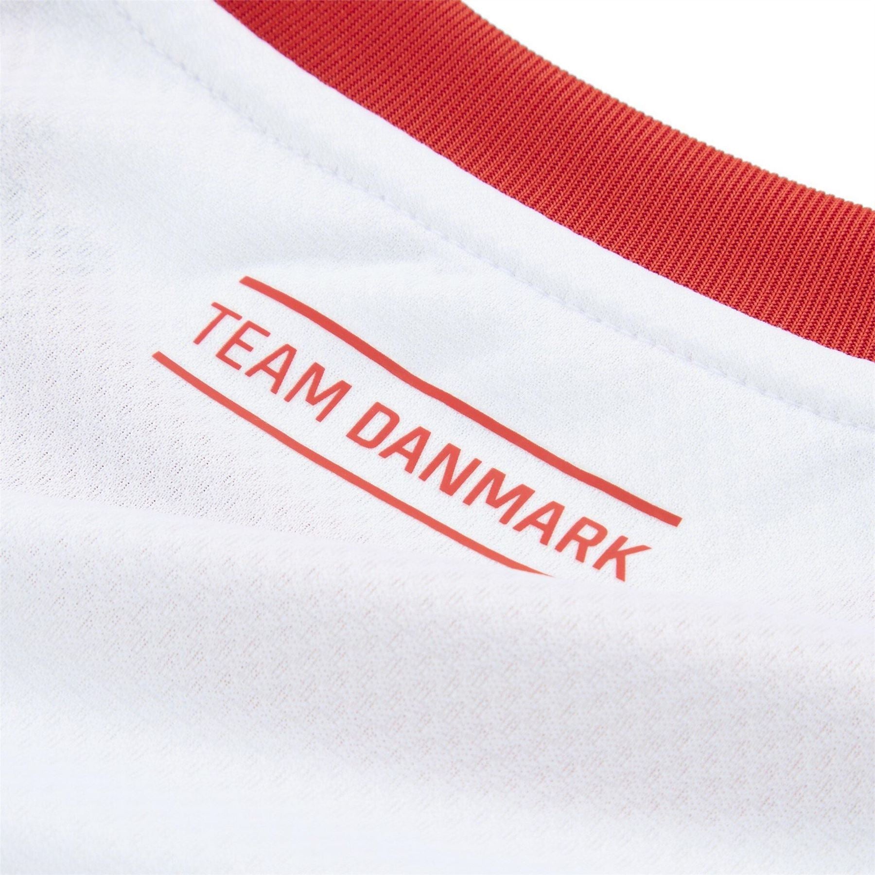 Puma Mens Dhf Away Jersey T-Shirt