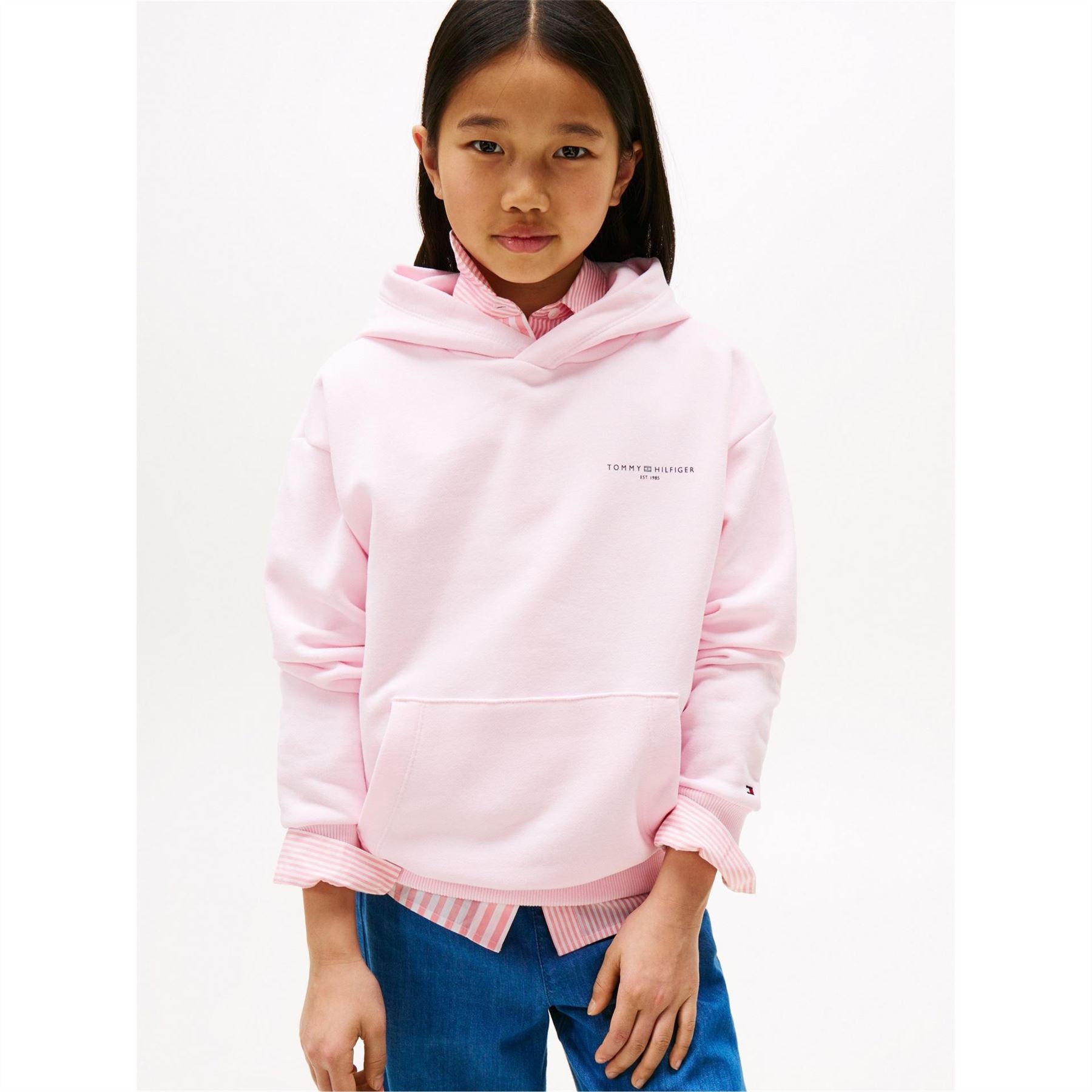 Tommy Hilfiger Small Logo Hoodie
