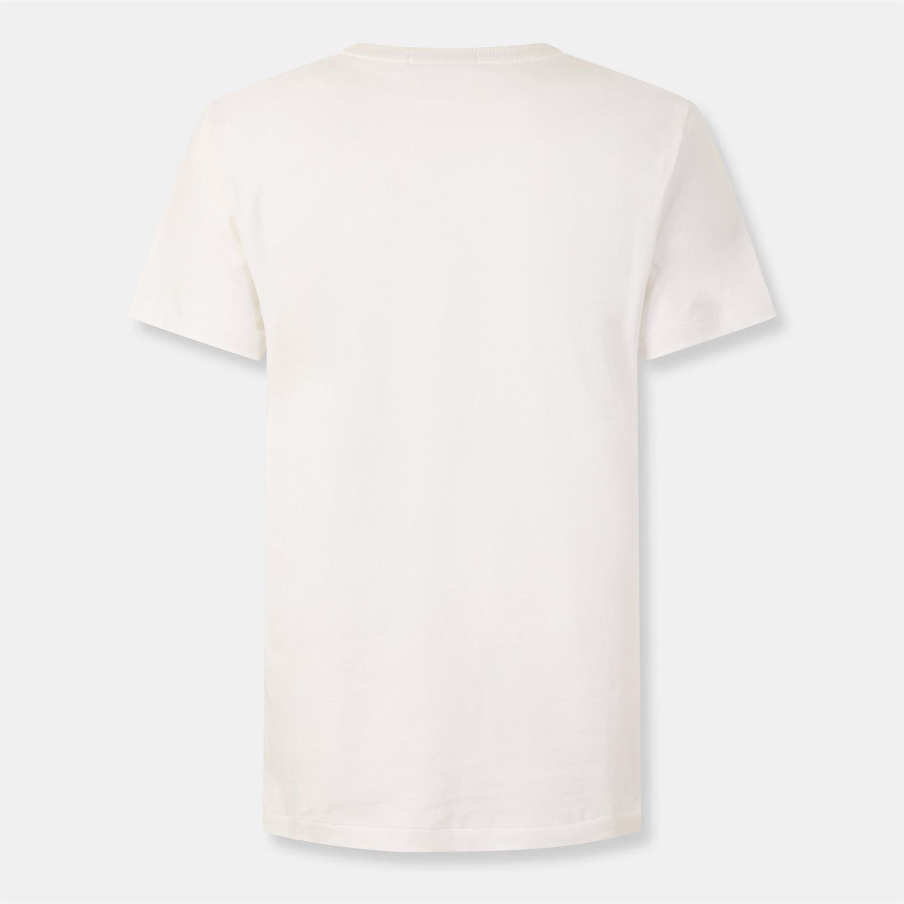Polo Ralph Lauren Bear Regular Fit Crew Neck T-Shirt