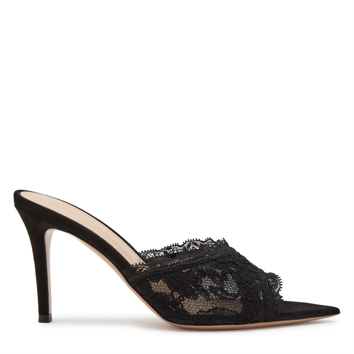Gianvito Rossi Mule