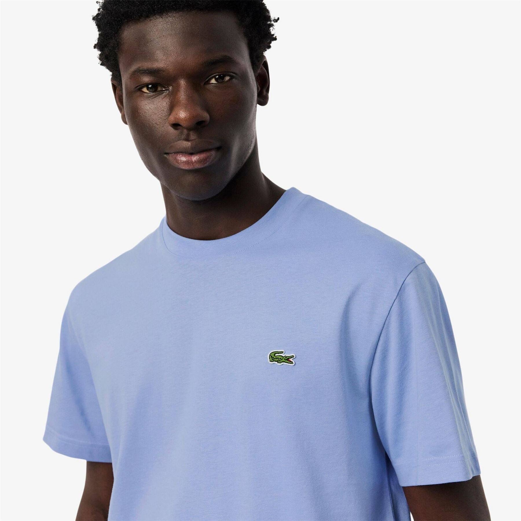Lacoste Regular Fit Small Logo T-Shirt