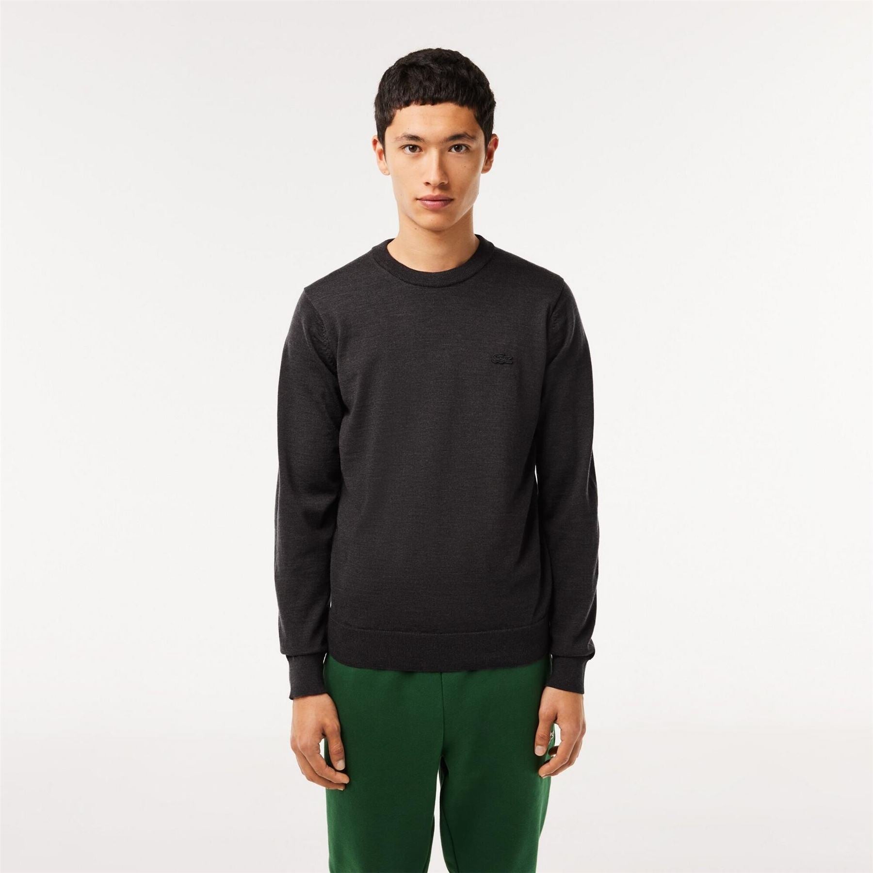 Lacoste Crew Neck Regular Fit Sweater