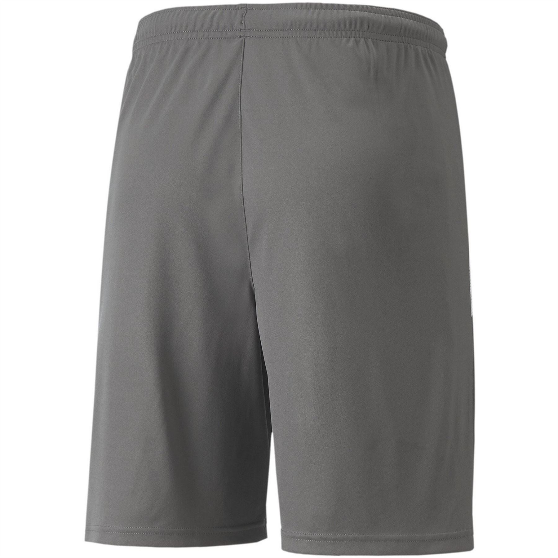 Puma Mens Teamliga Shorts Football Shorts