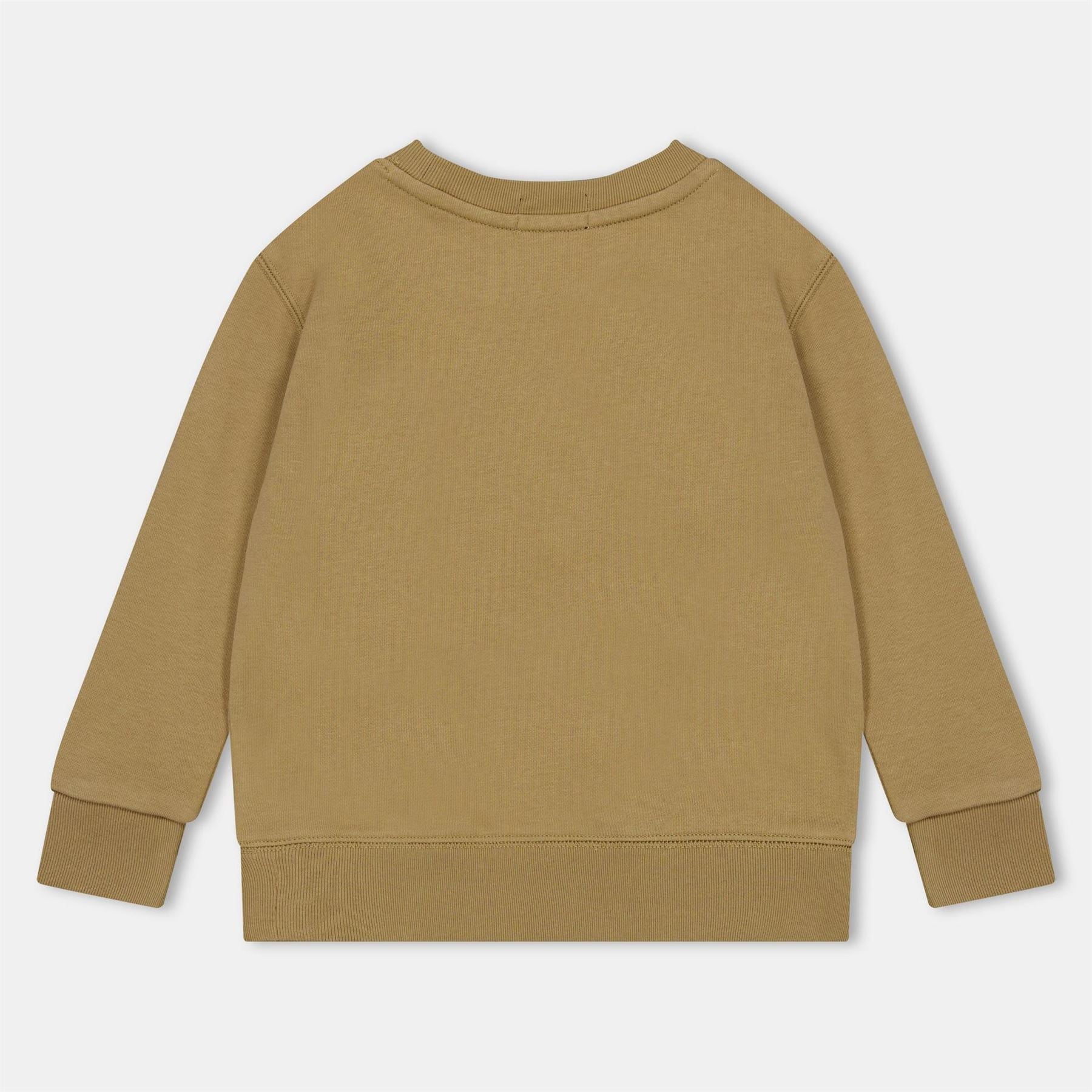 Polo Ralph Lauren Logo Print Regular Fit Crew Neck Sweatshirt