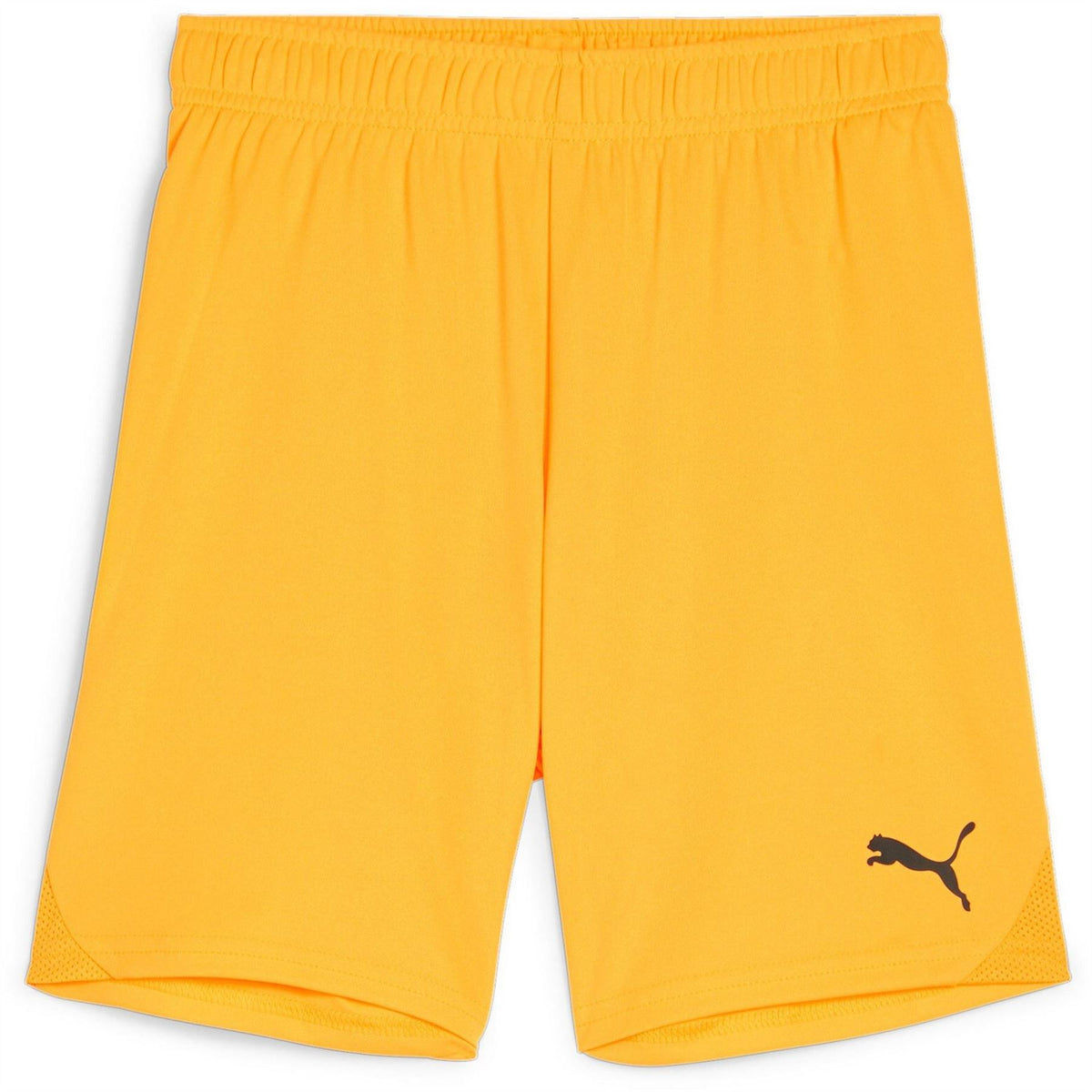 Puma Teamgoal Shorts Jr Football Short Unisex Kids