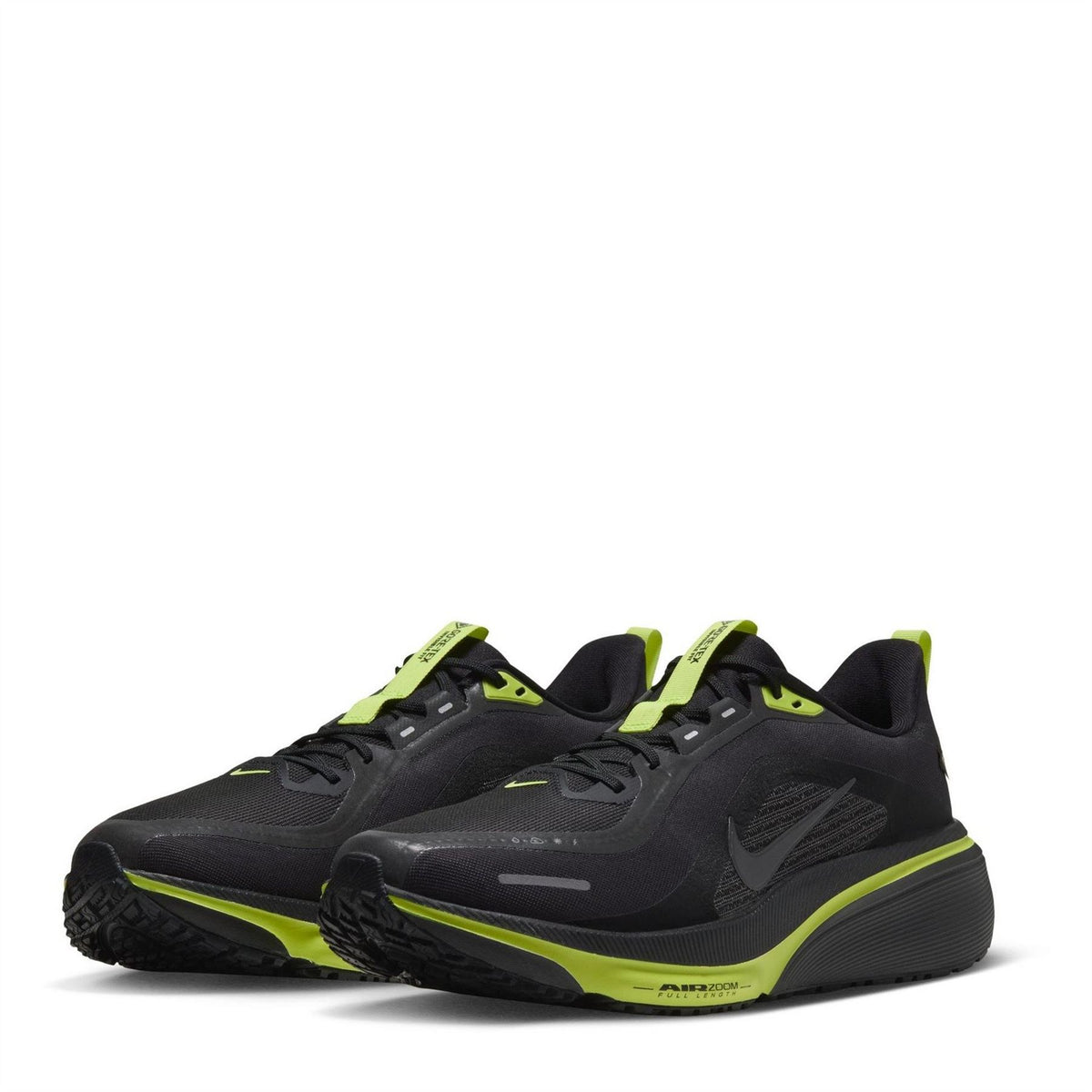 Nike Pegasus 42 GorE-Tex Sn71