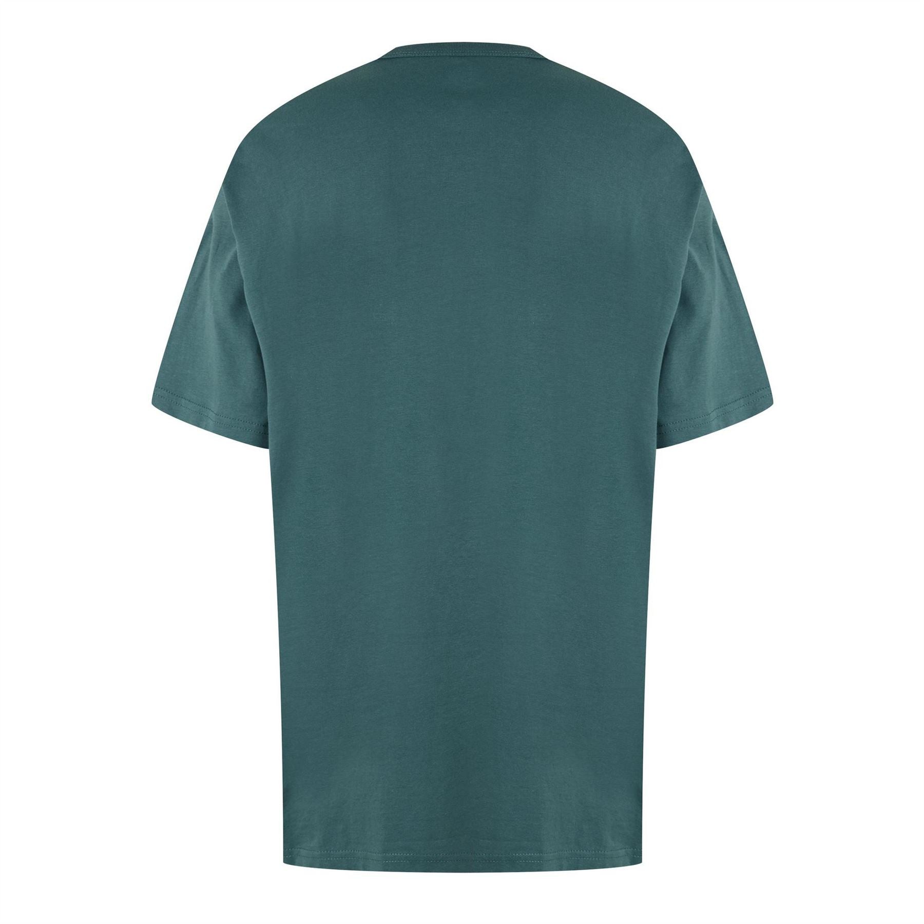 Dickies Aitkin Tee