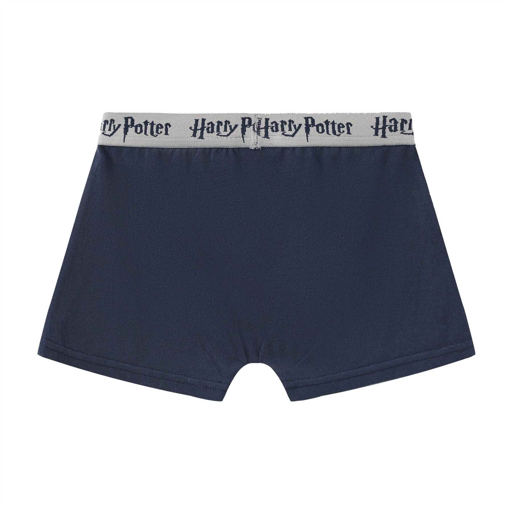 Character Boxer Briefs For Boys