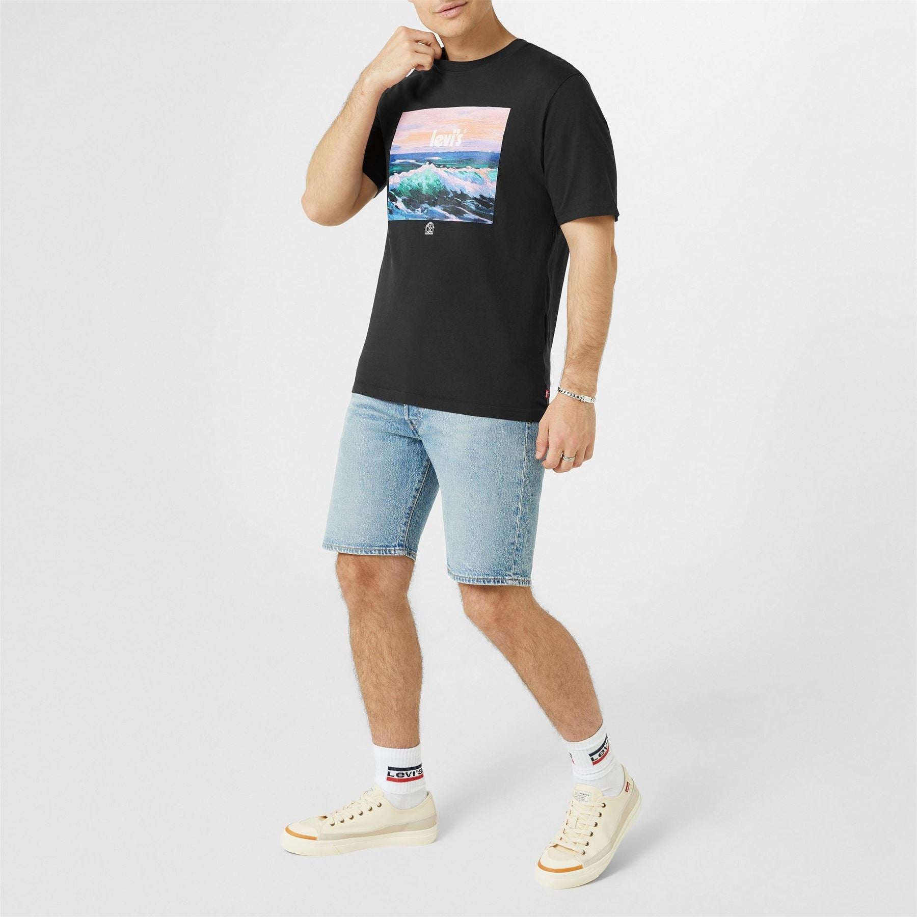 Levis Mens Canvasas Low Trainers