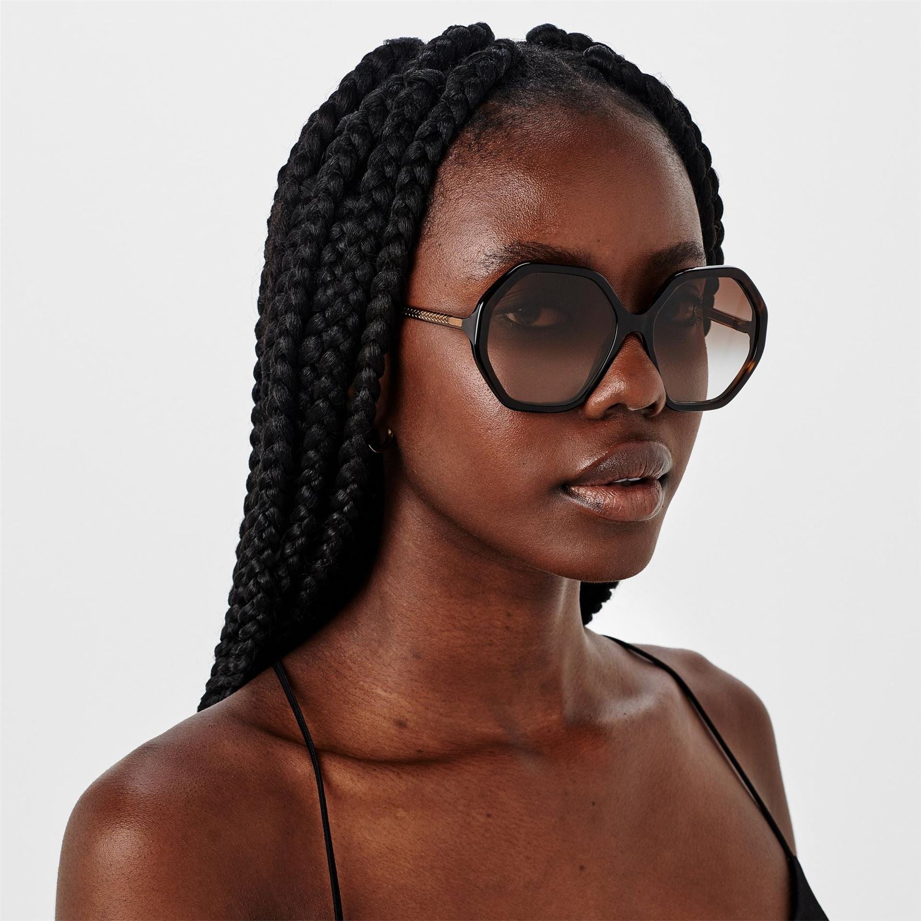 Chloe Sunglasses Ch0008s