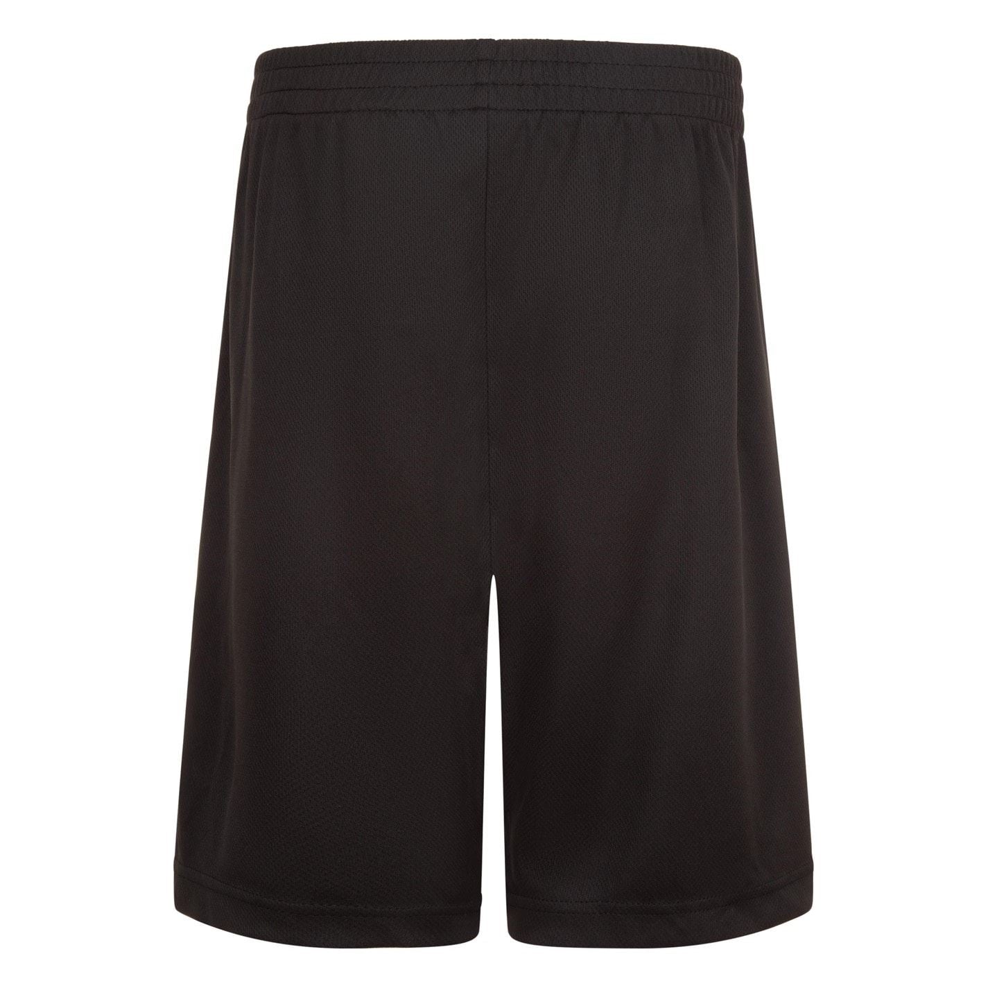 Air Jordan Junior Mesh Basketball Shorts