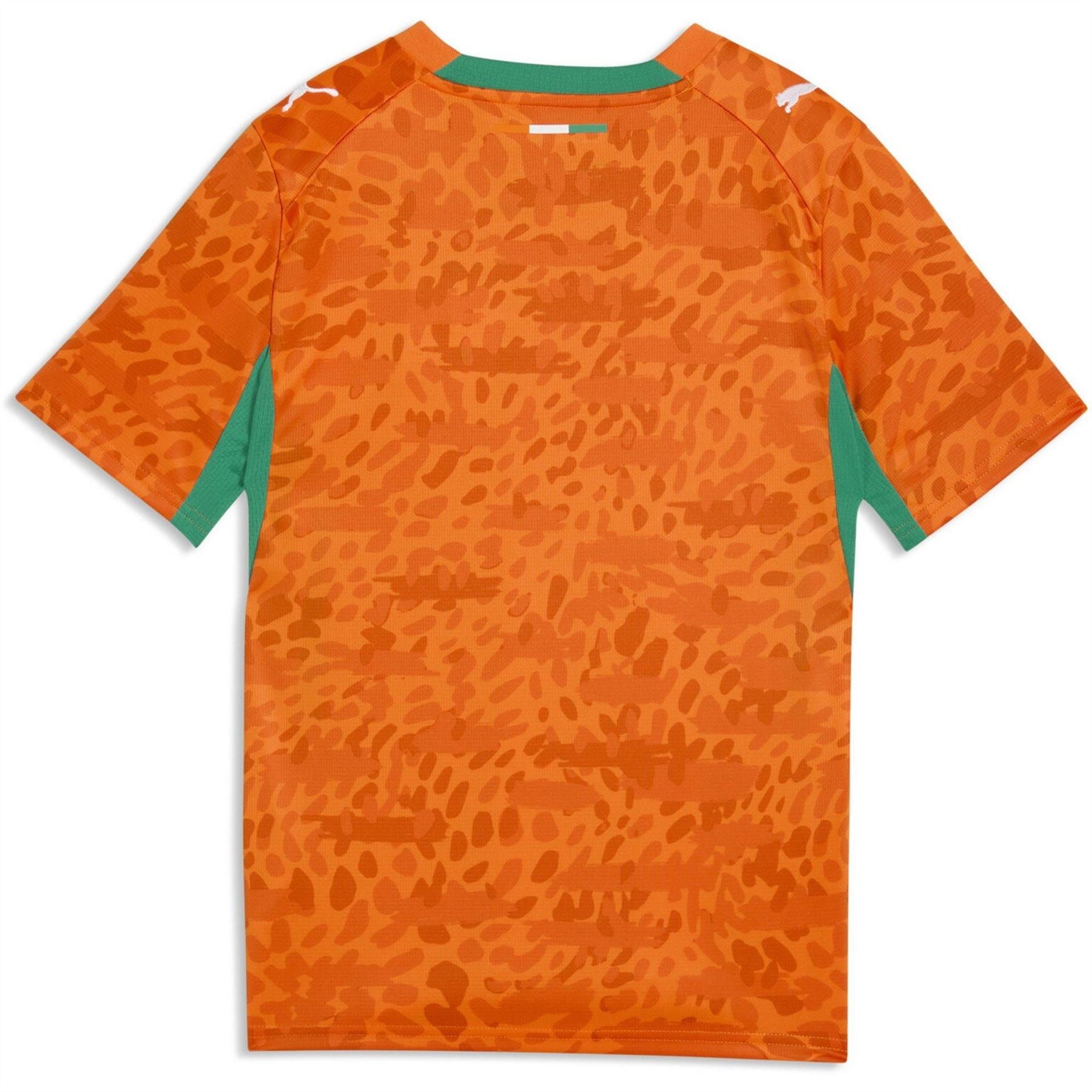Puma Ivory Coast 2026 Football Shirt