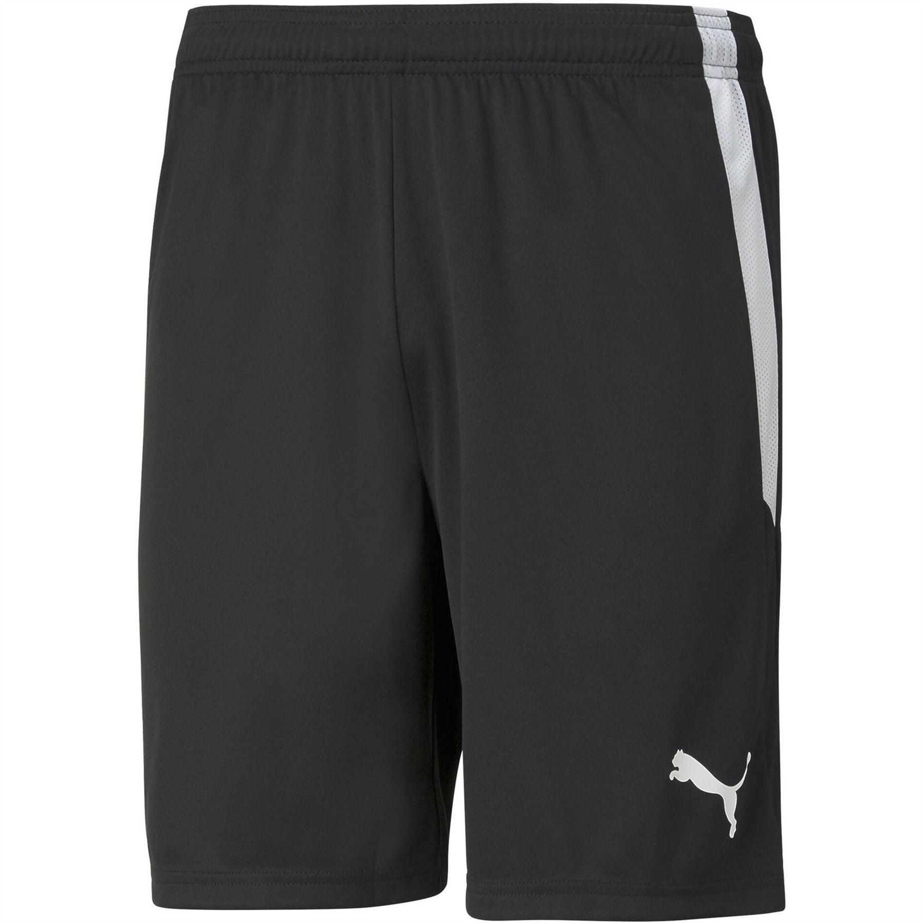 Puma Mens Teamliga Shorts Football Shorts