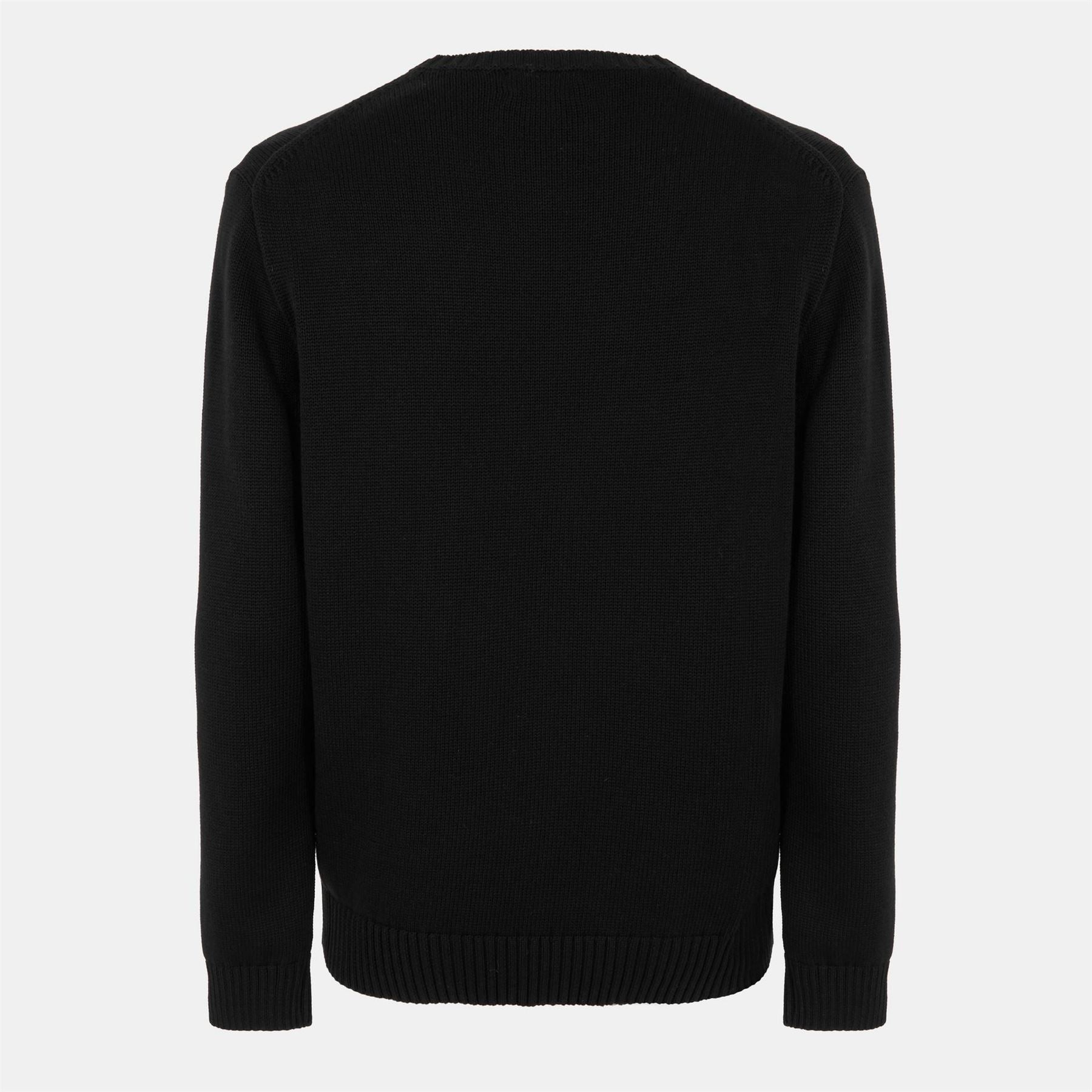 Polo Ralph Lauren Shaker Crew Neck Regular Fit Sweater