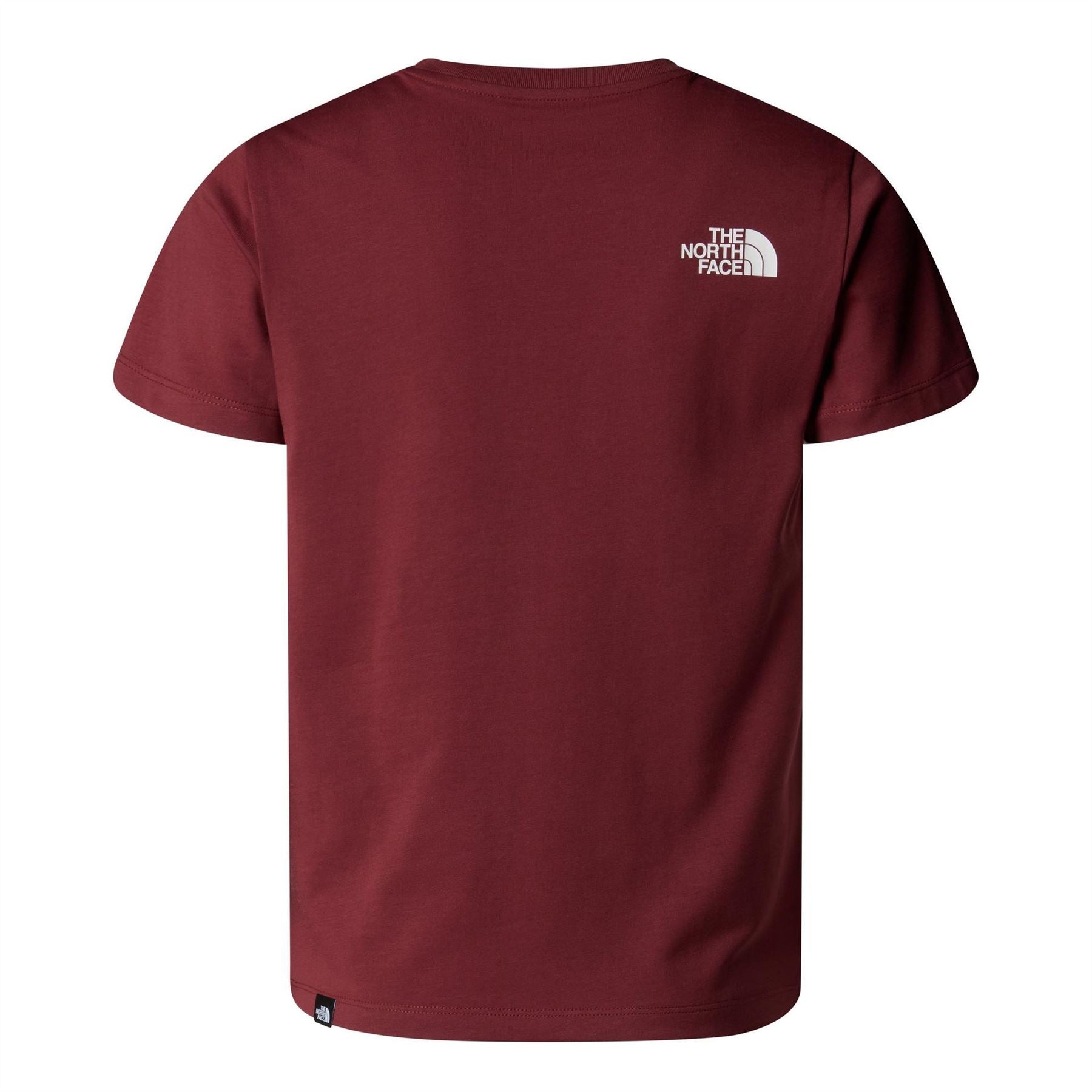 The North Face Simple Dome Regular Fit T-Shirt Juniors