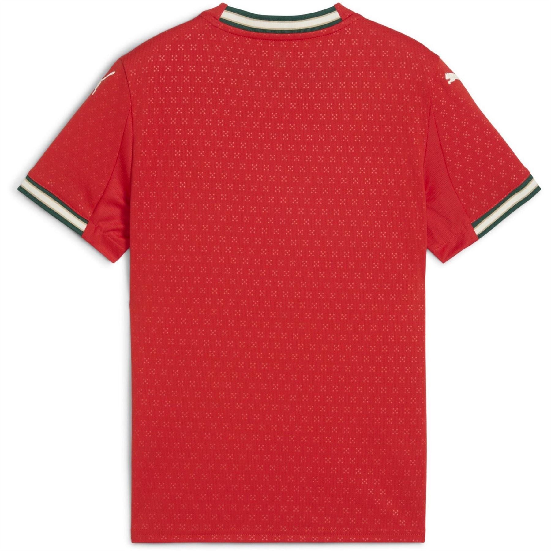 Puma Home Shirt 2025 Juniors