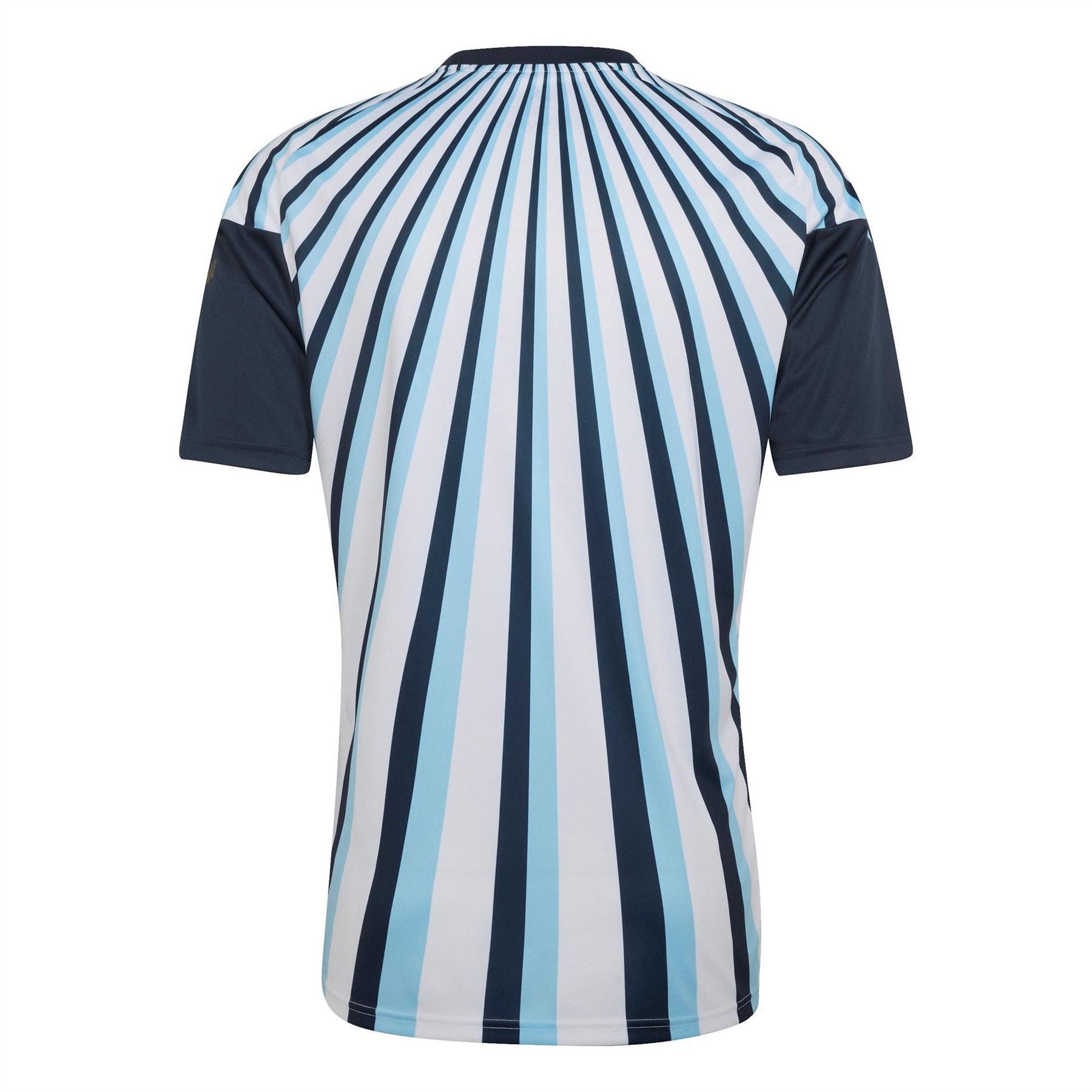 adidas Argentina 2026 Pre Match Short Sleeve T-Shirt