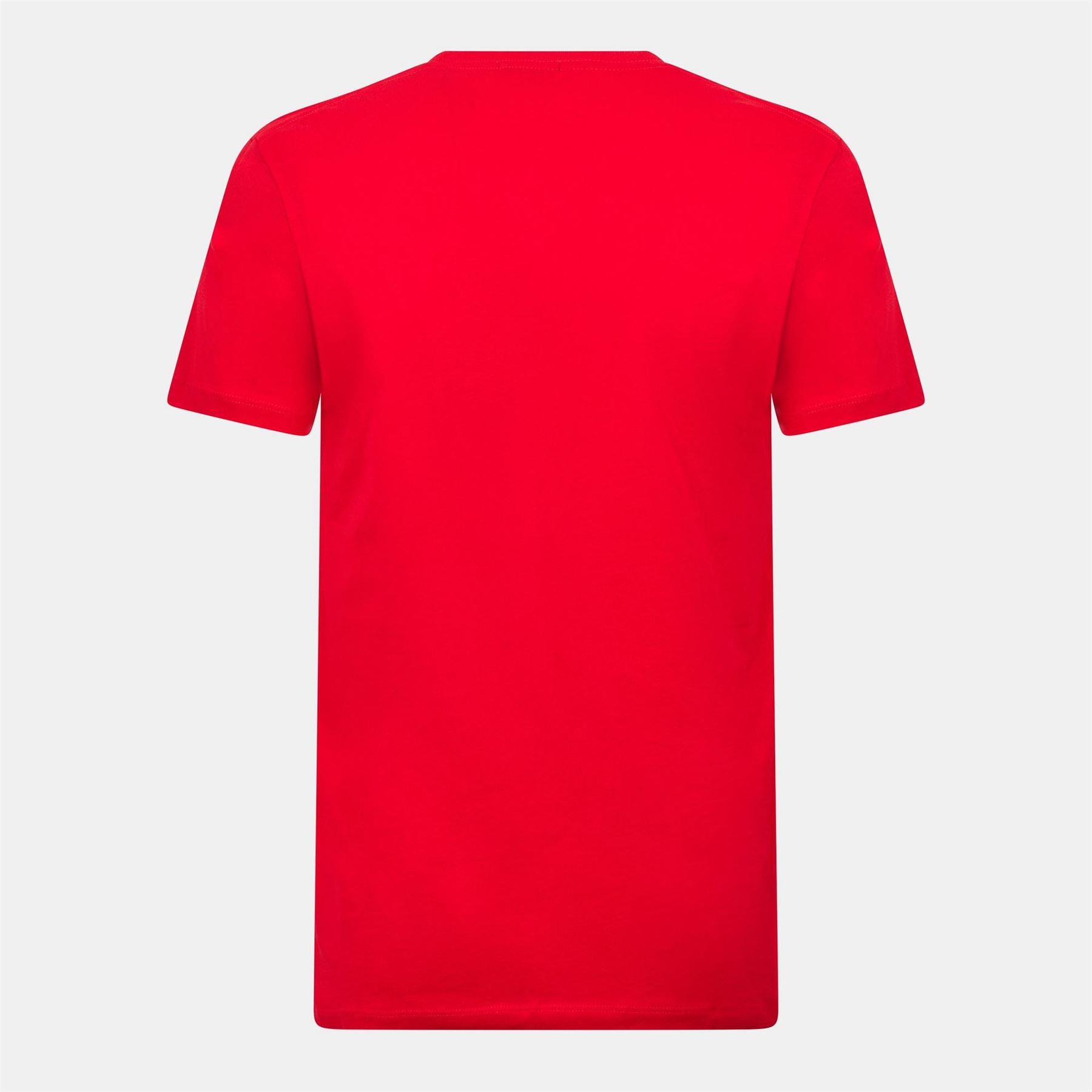 Boss Short Sleeve T-Shirt   Regular Fit (tessler)