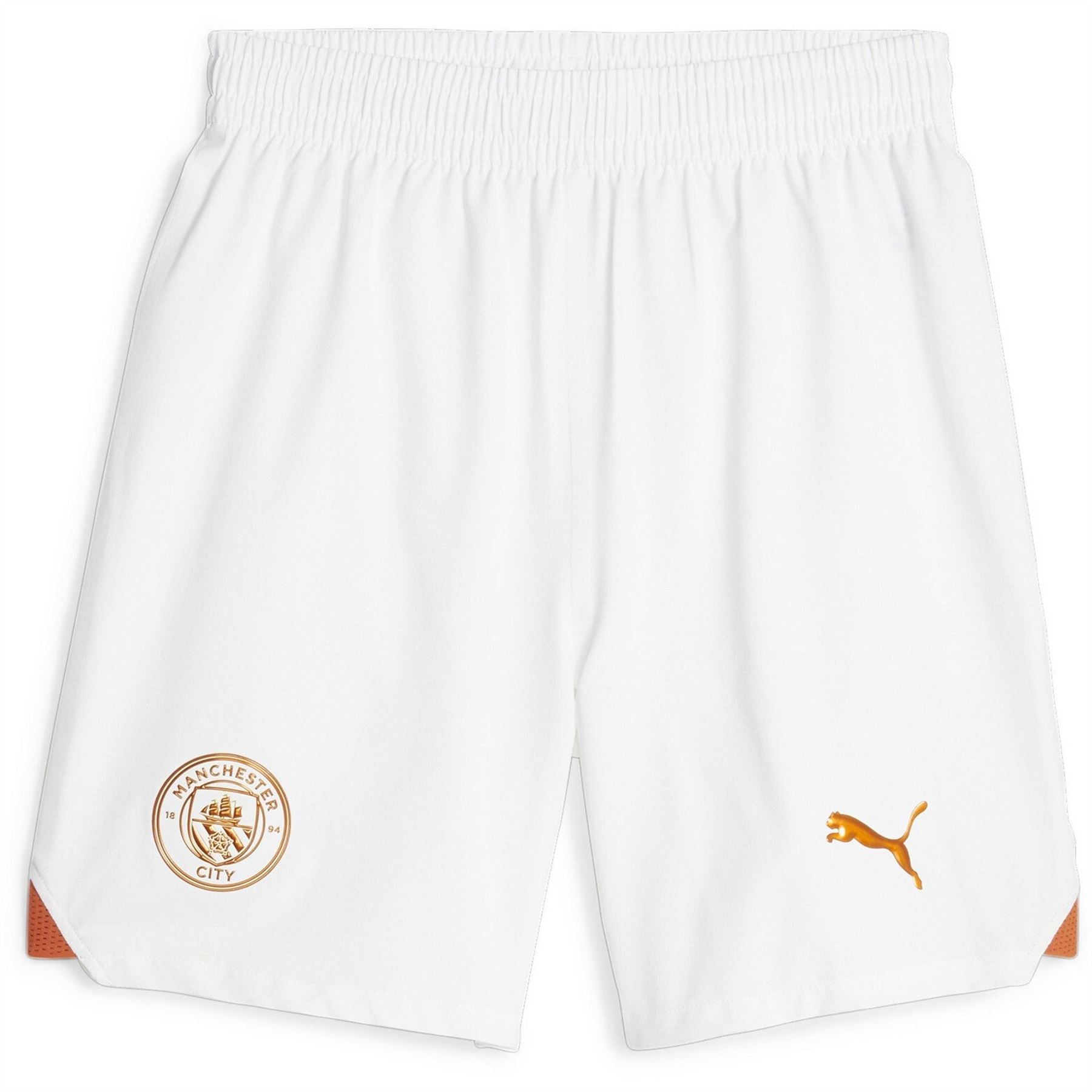 Puma Mens Shorts Promo Football Shorts